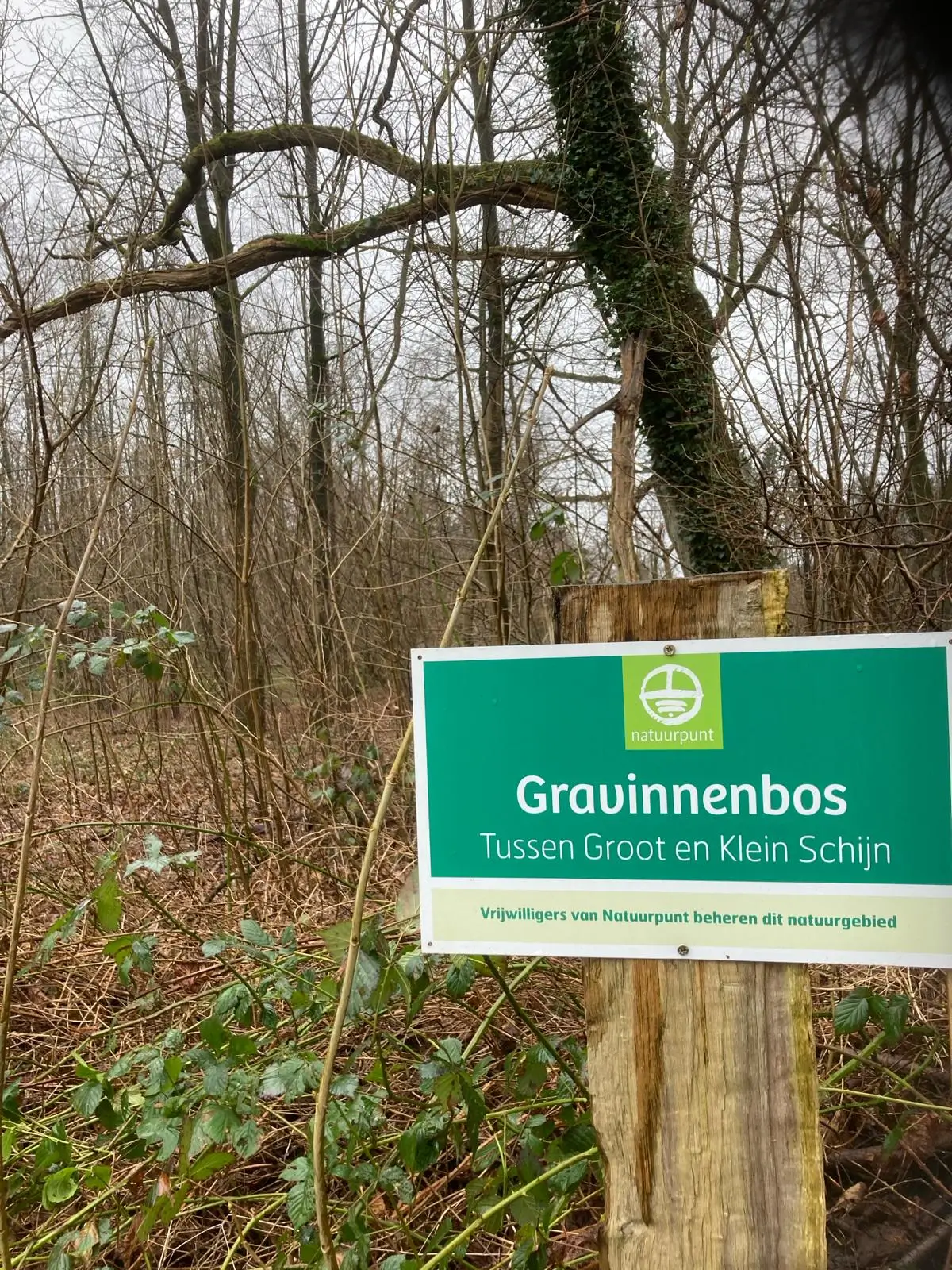 Wandeling afbeelding