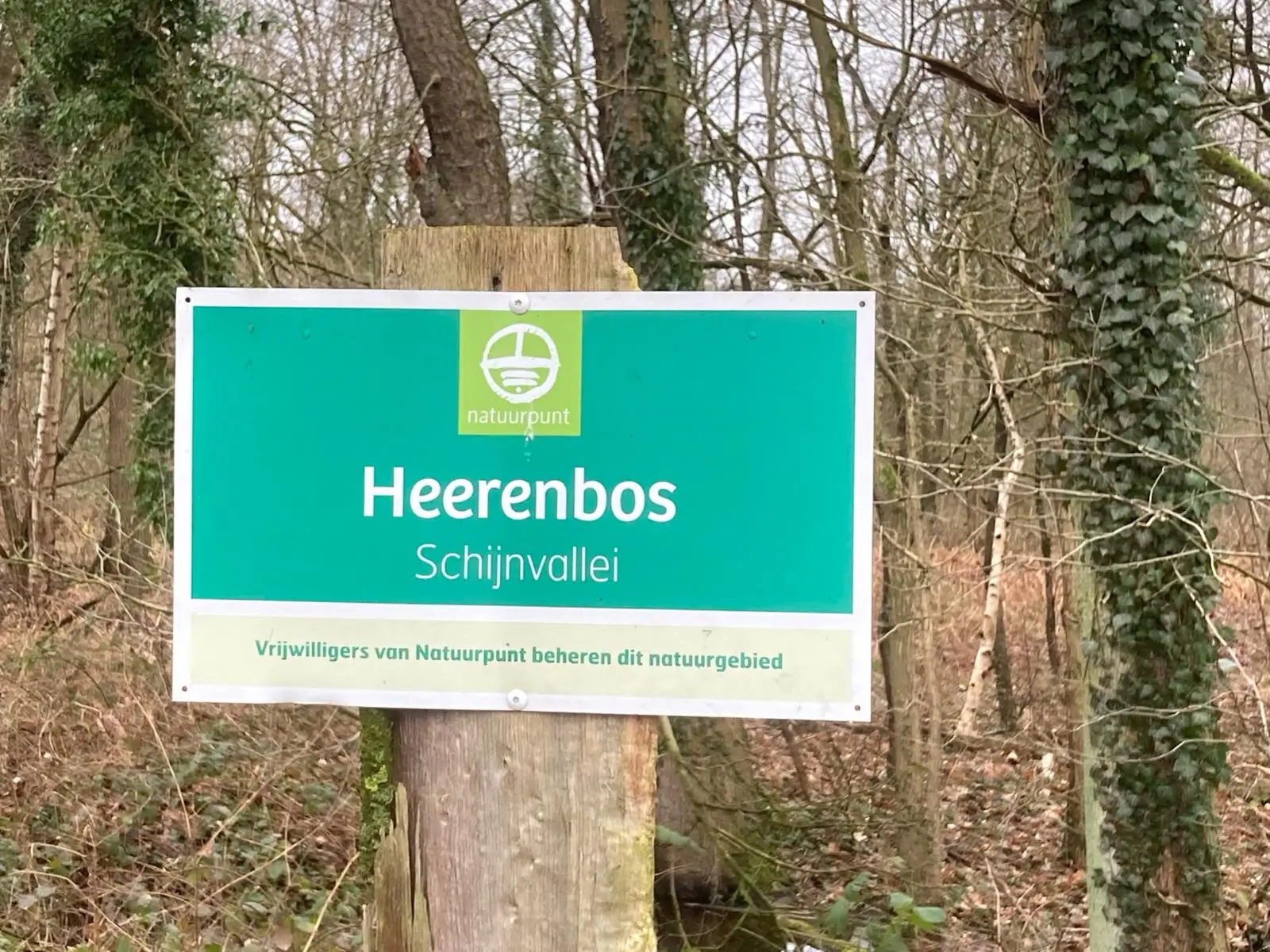 Wandeling afbeelding