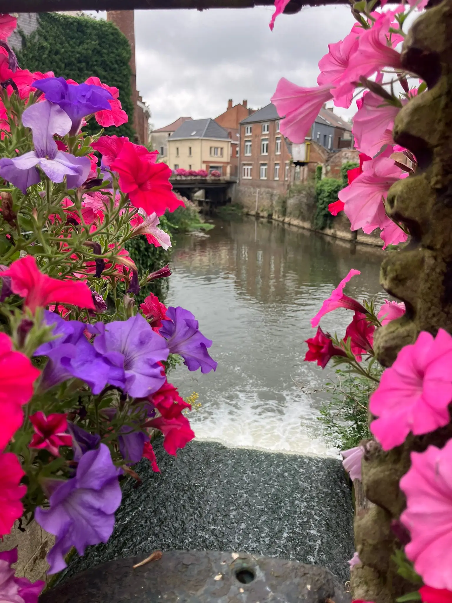 Foto 5 van de wandeling te Rebecq