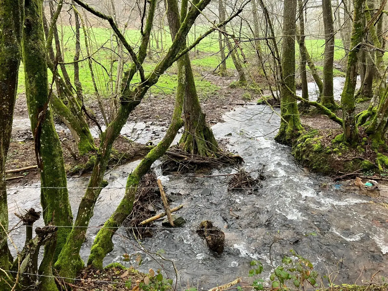 Wandeling afbeelding
