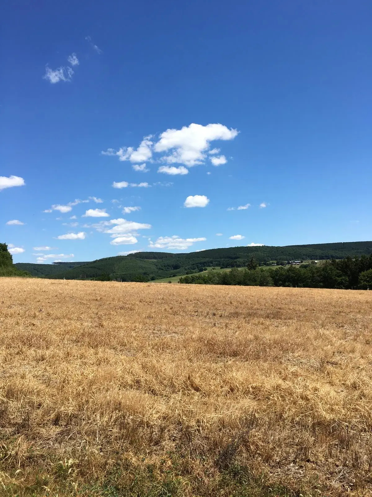 Wandeling afbeelding