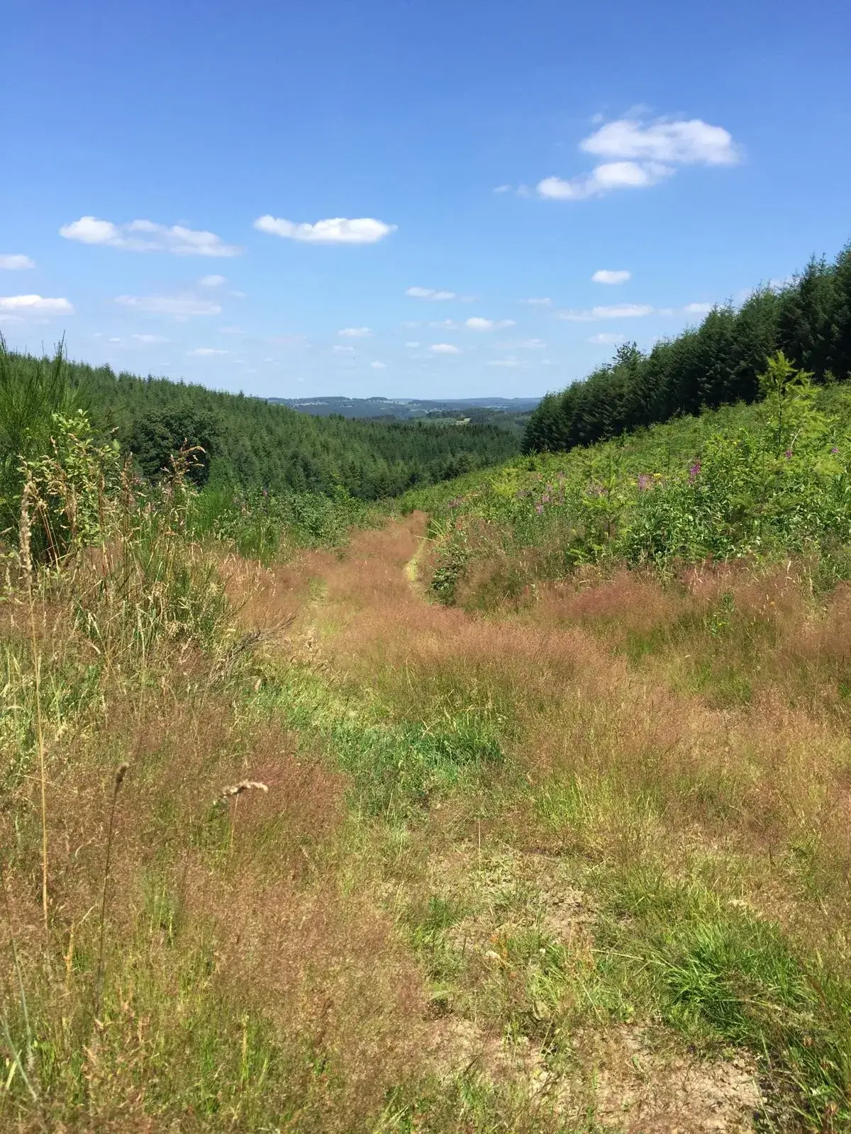 Wandeling afbeelding
