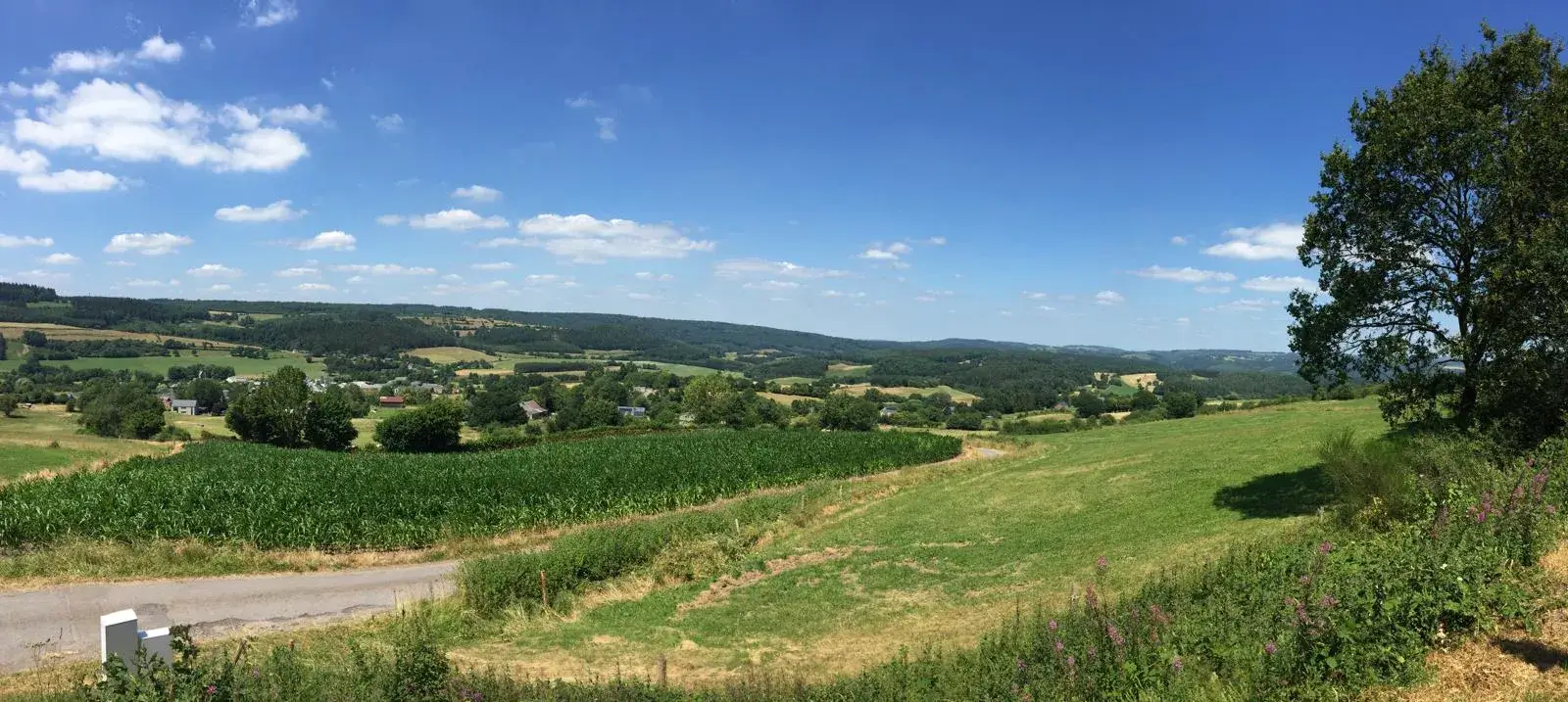 Wandeling afbeelding