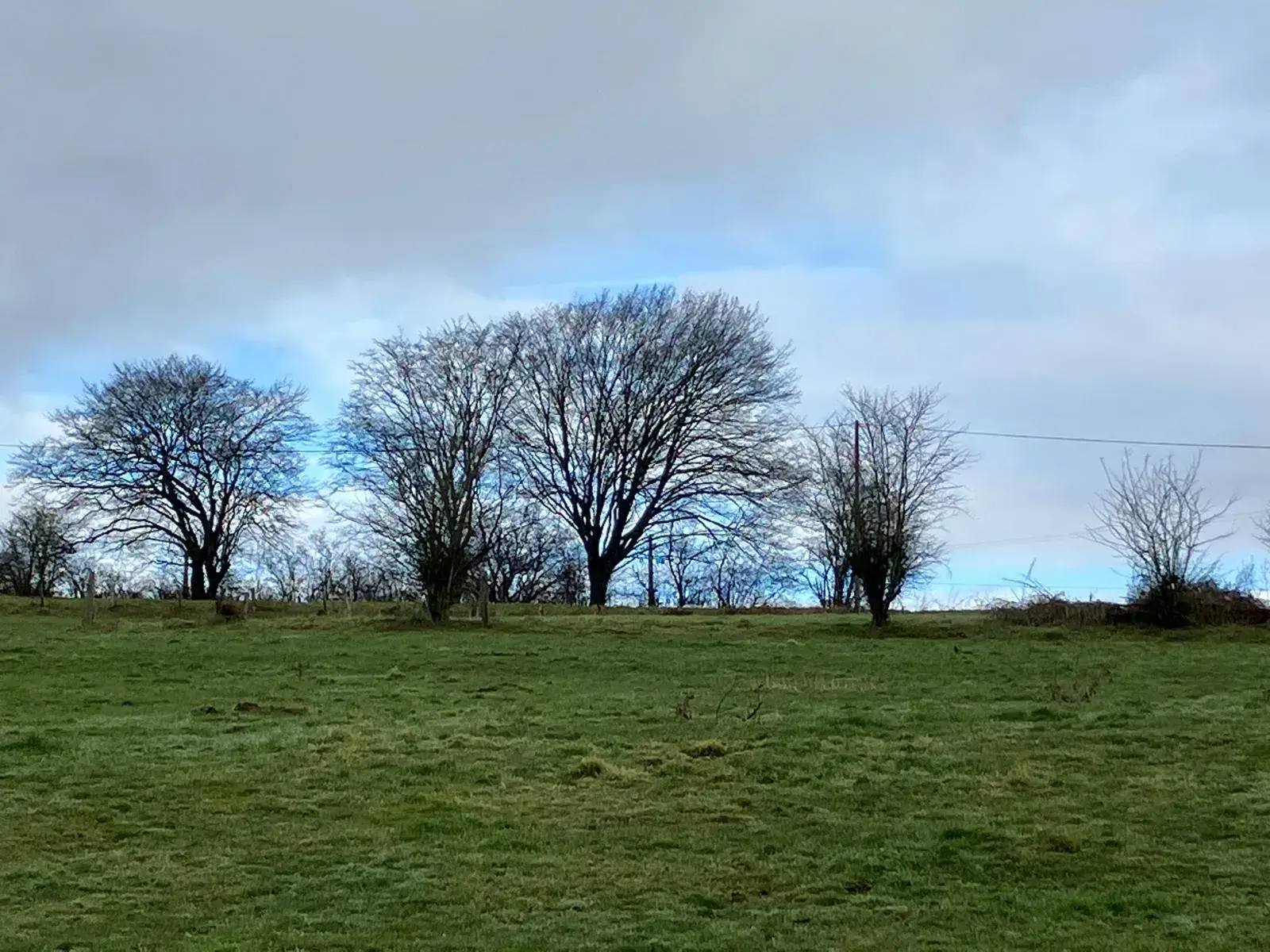 Wandeling afbeelding