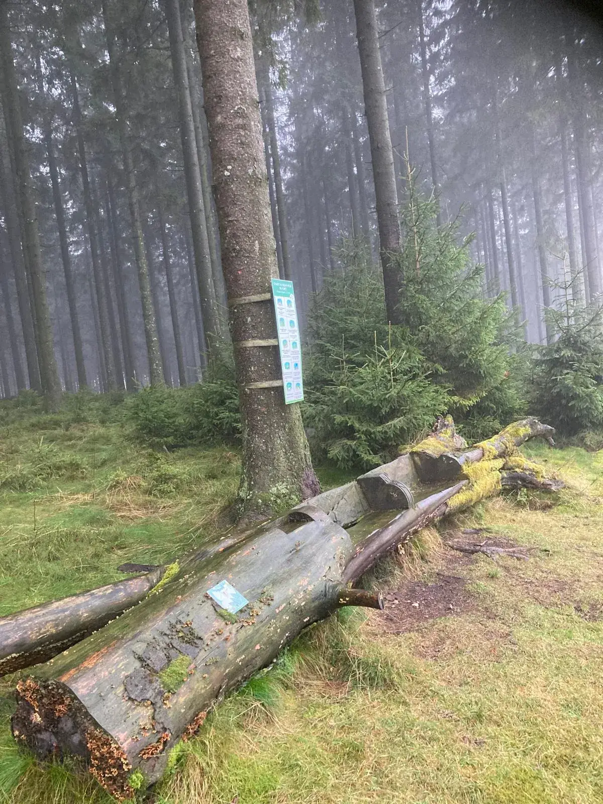 Wandeling afbeelding
