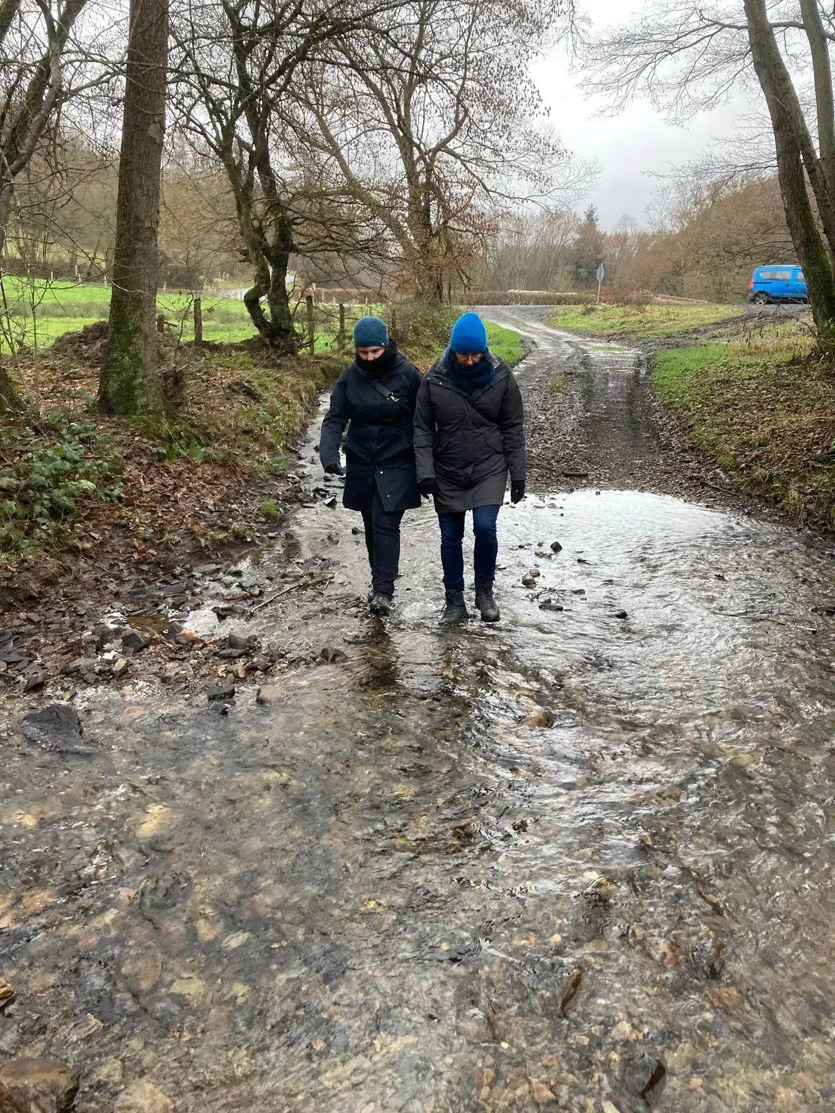 Wandeling afbeelding