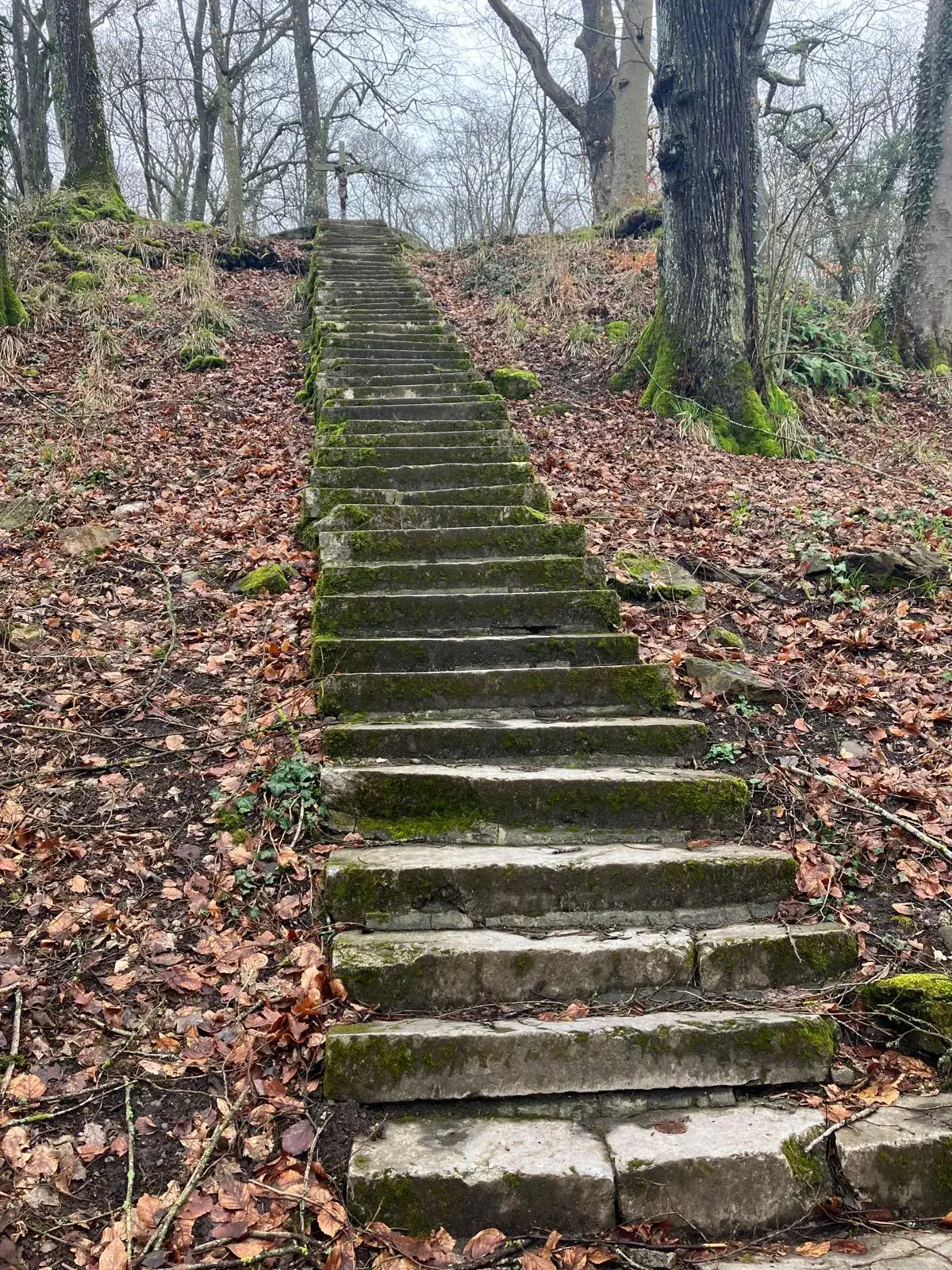 Wandeling afbeelding