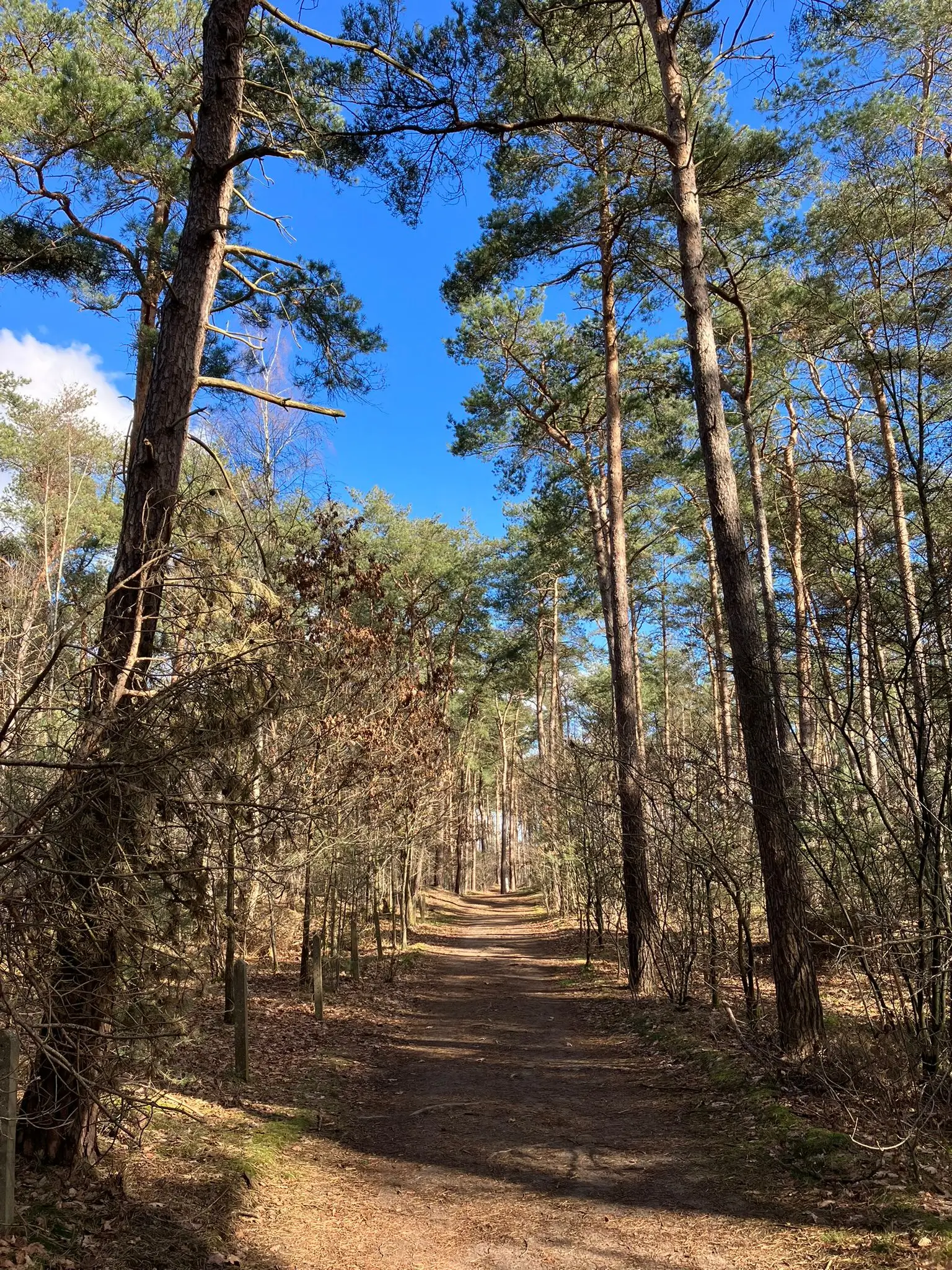 Wandeling afbeelding