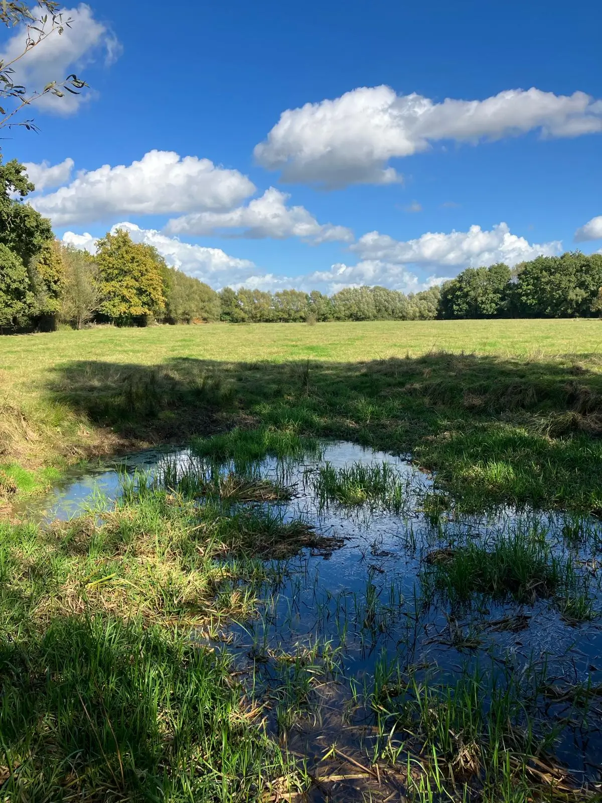Wandeling afbeelding