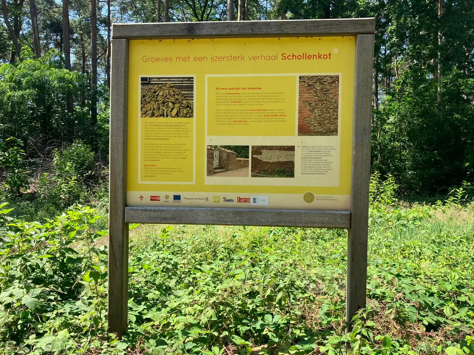 Wandeling afbeelding
