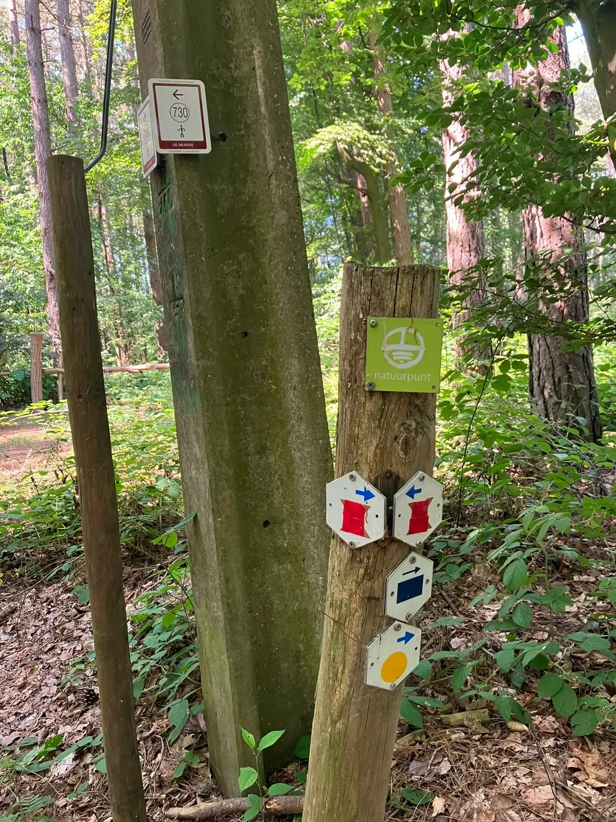 Wandeling afbeelding