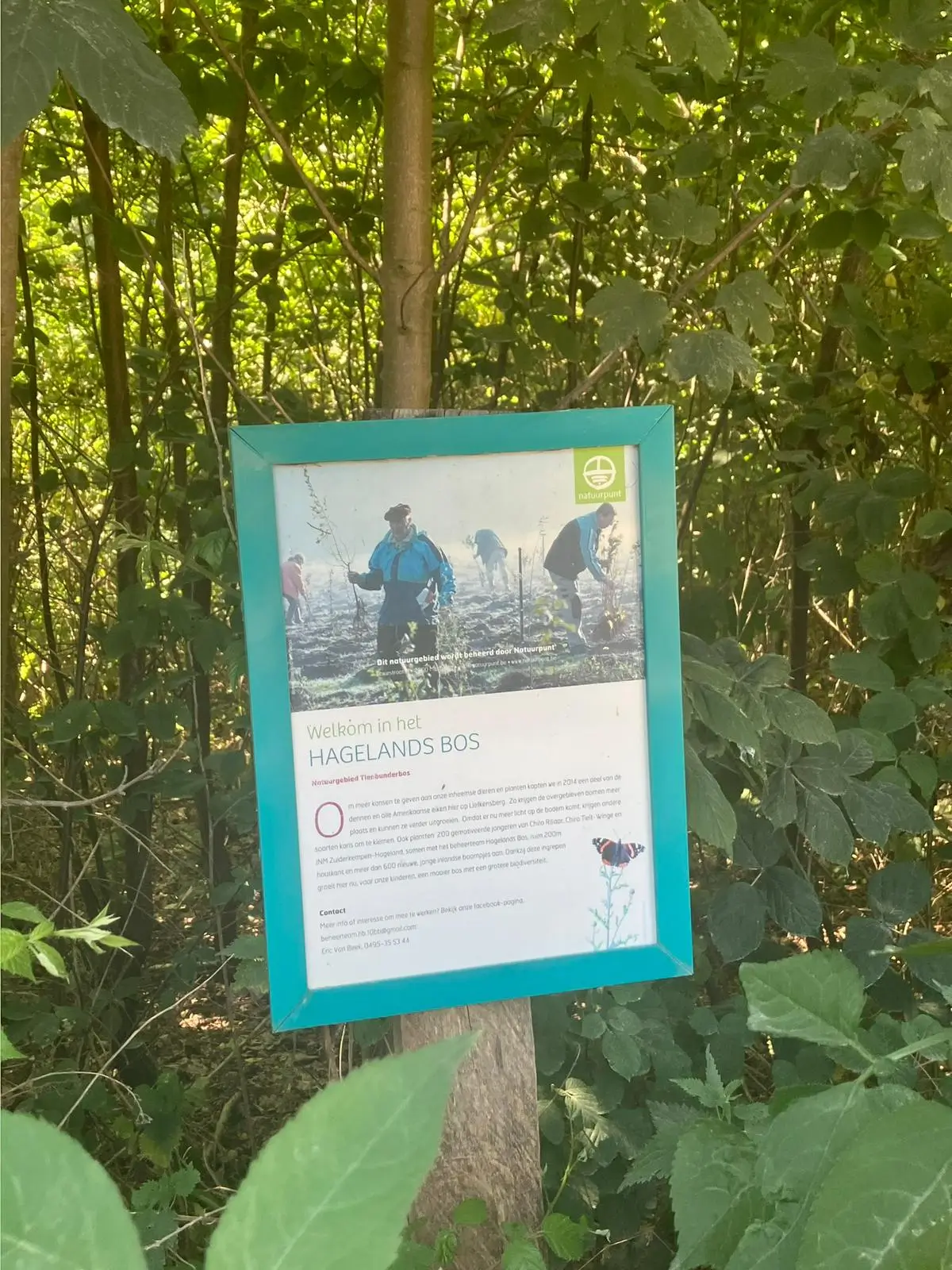 Wandeling afbeelding