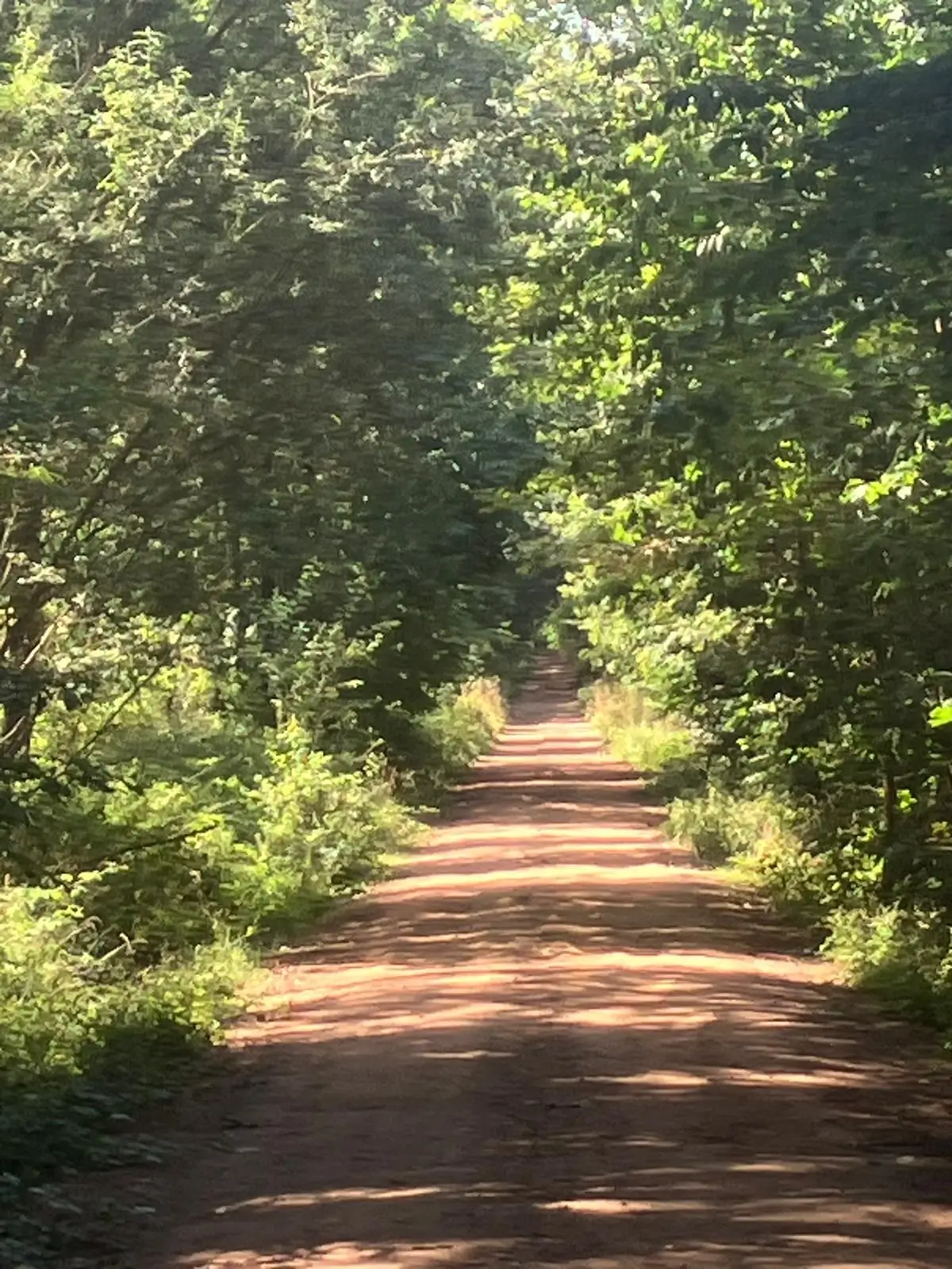 Wandeling afbeelding