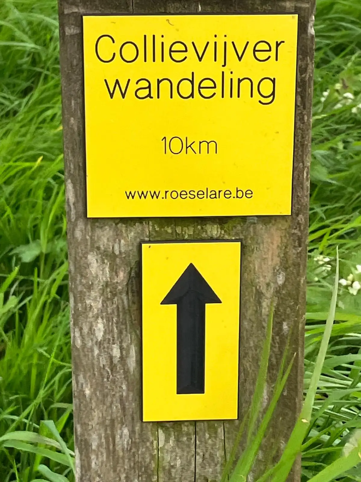 Wandeling afbeelding