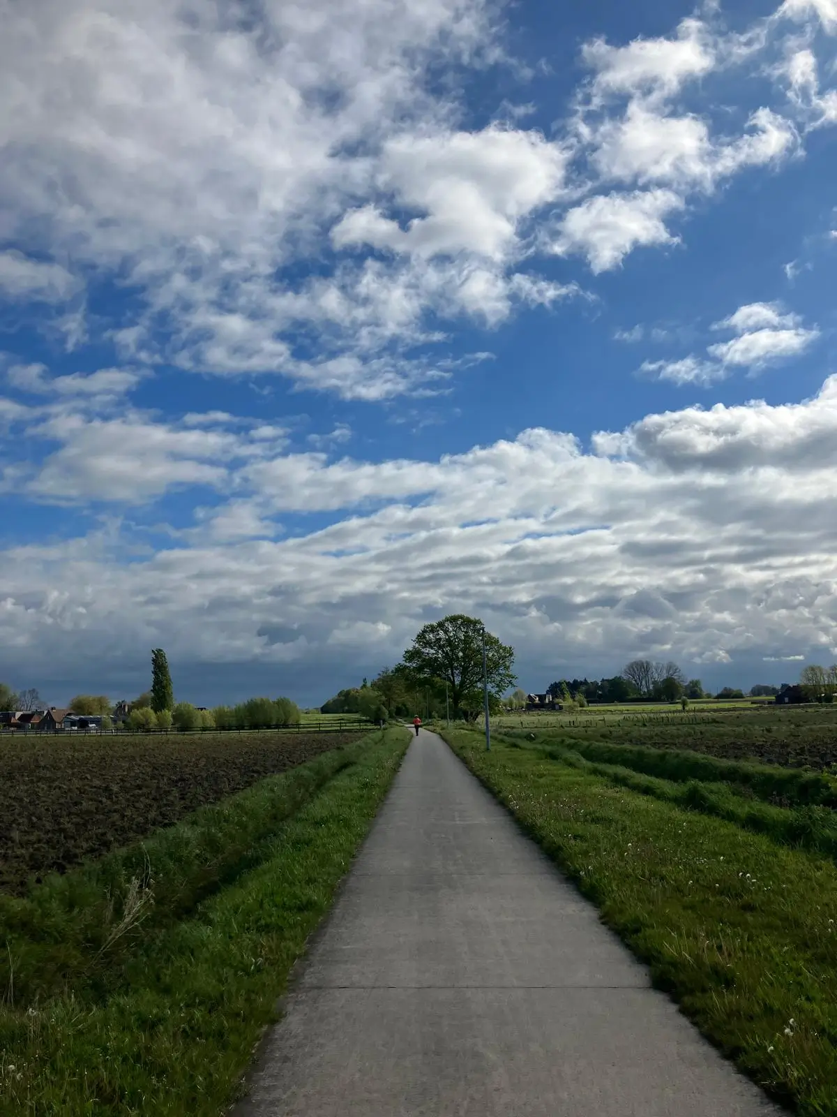 Wandeling afbeelding