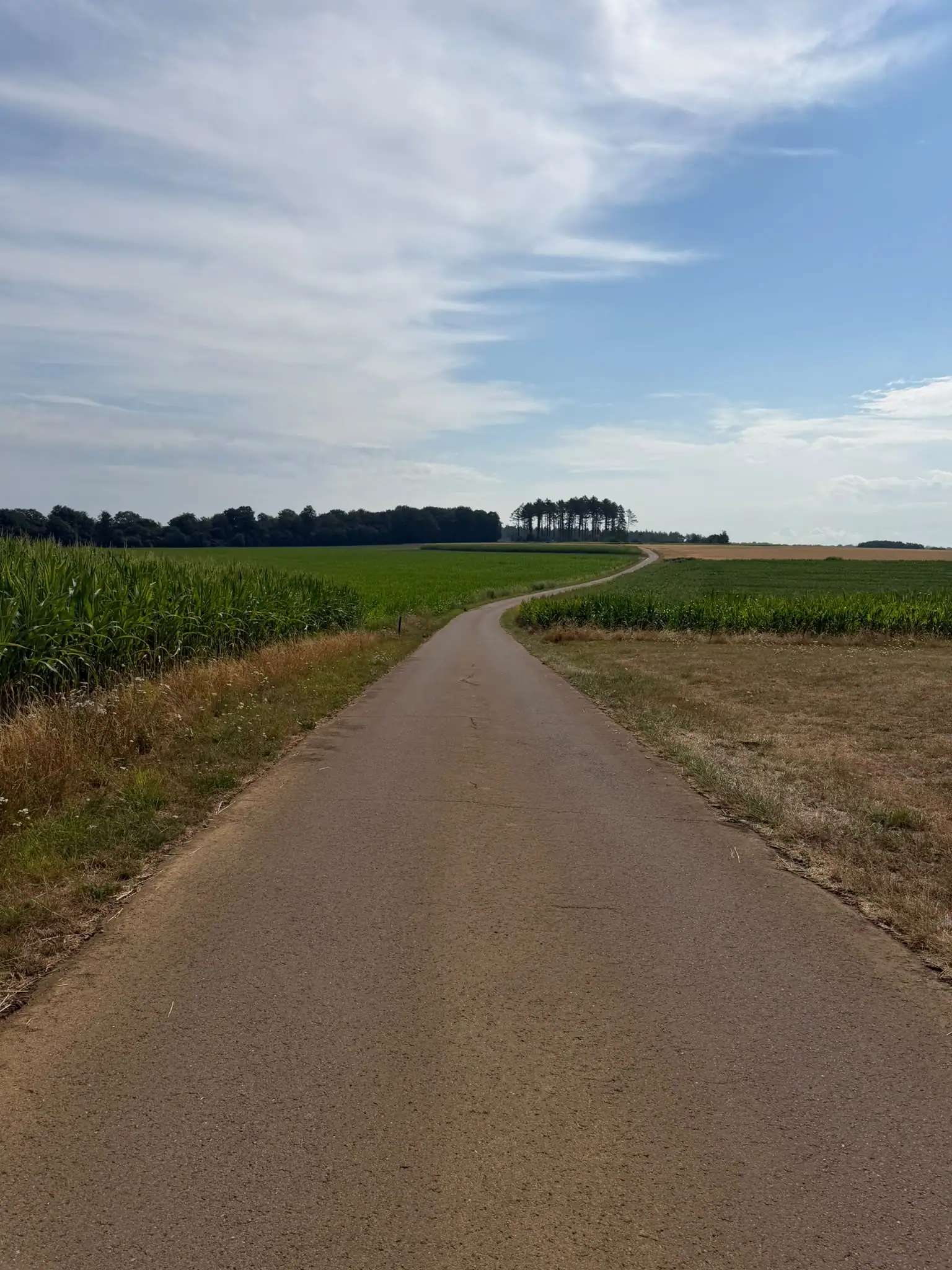 Wandeling afbeelding