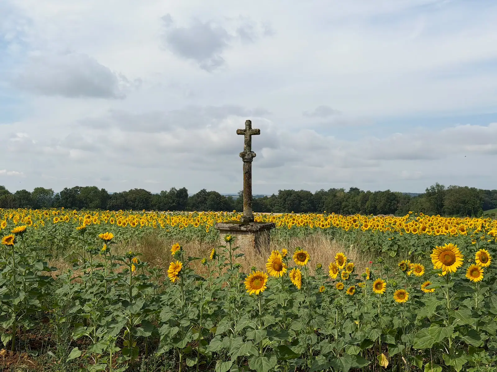 Wandeling afbeelding