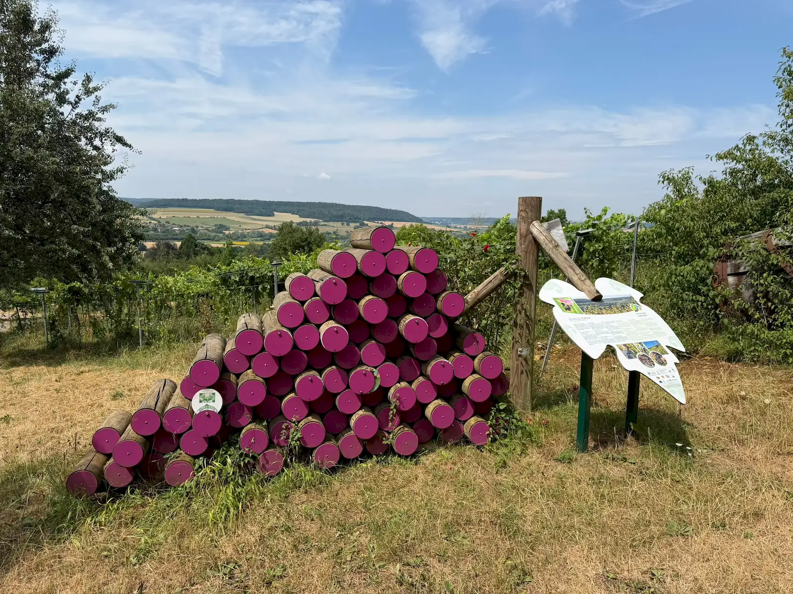 Wandeling afbeelding