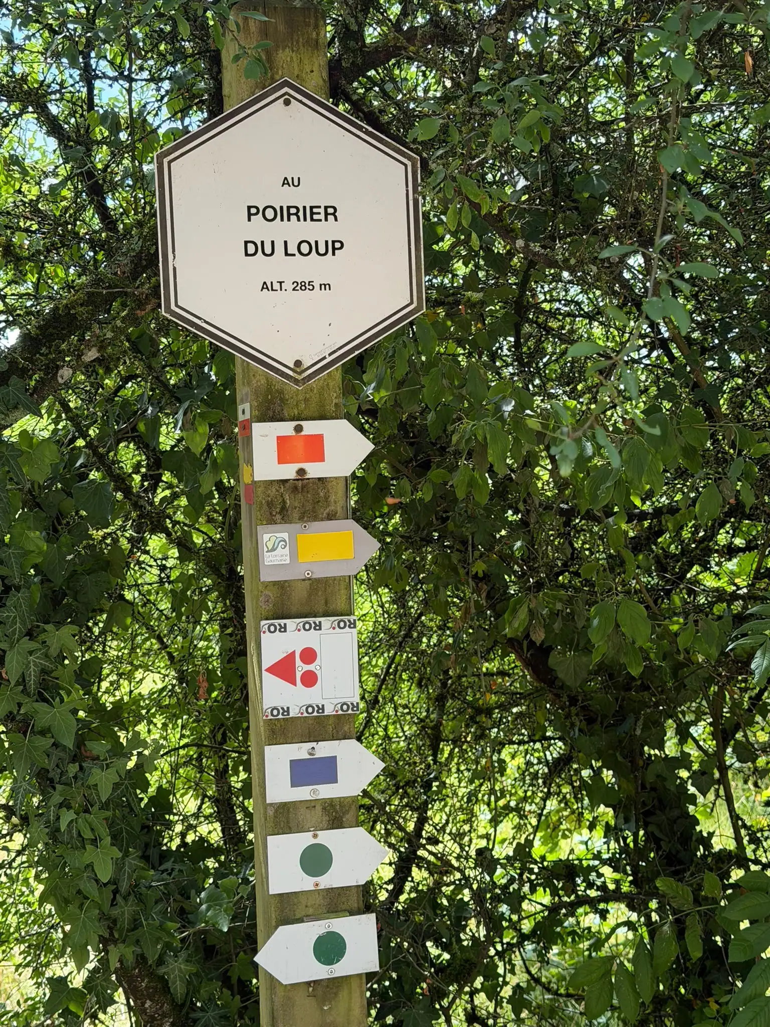 Wandeling afbeelding