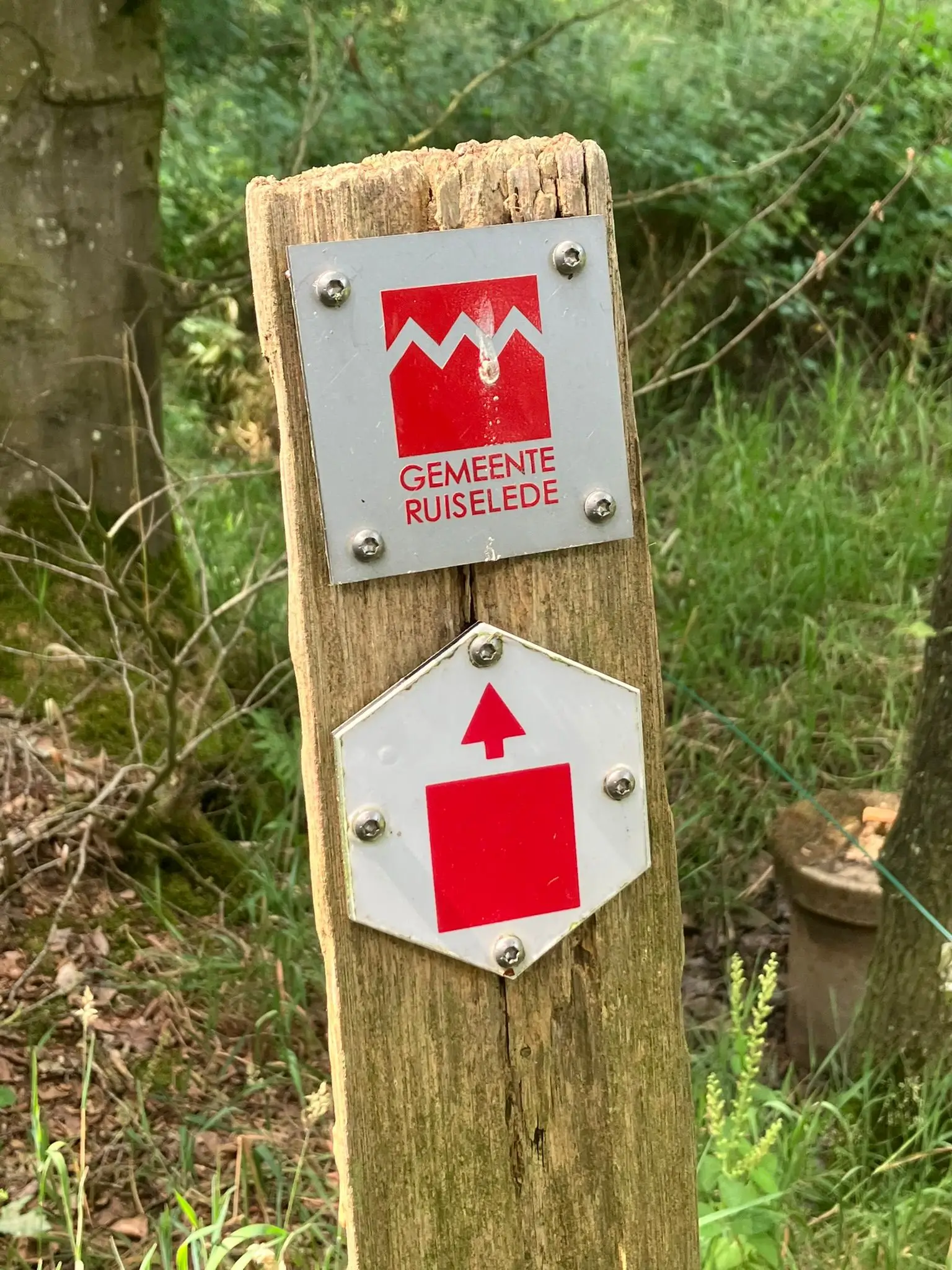 Wandeling afbeelding