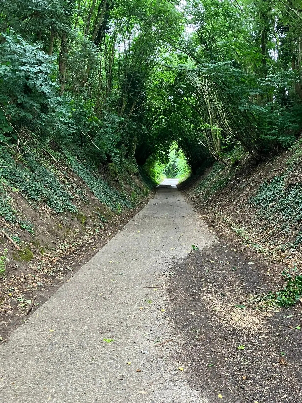 Wandeling afbeelding