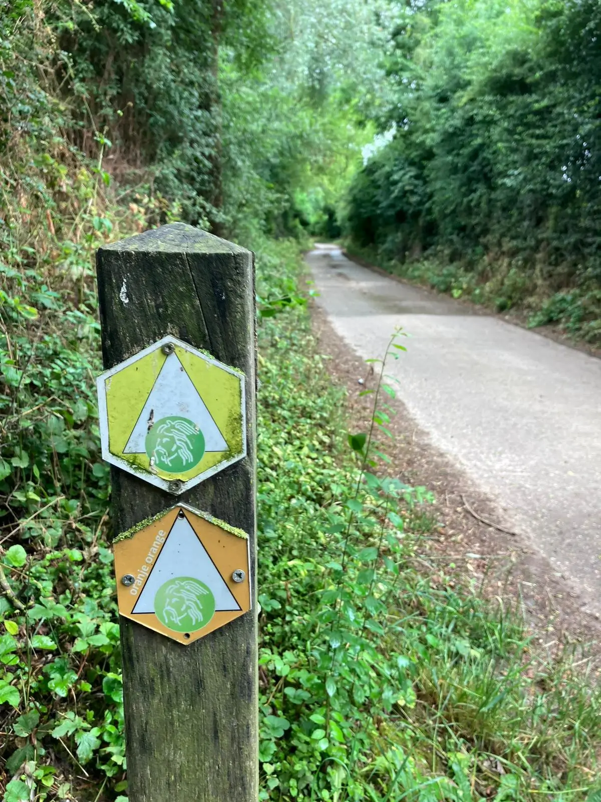 Wandeling afbeelding