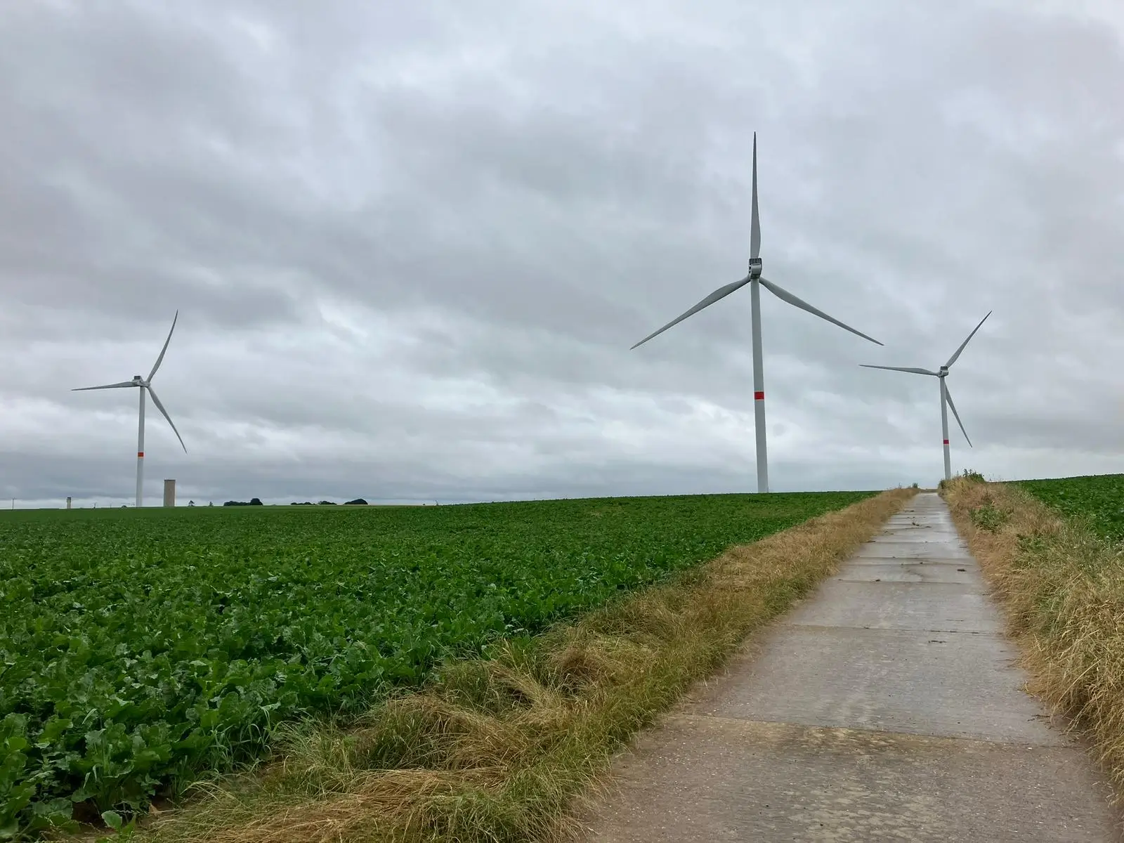Wandeling afbeelding