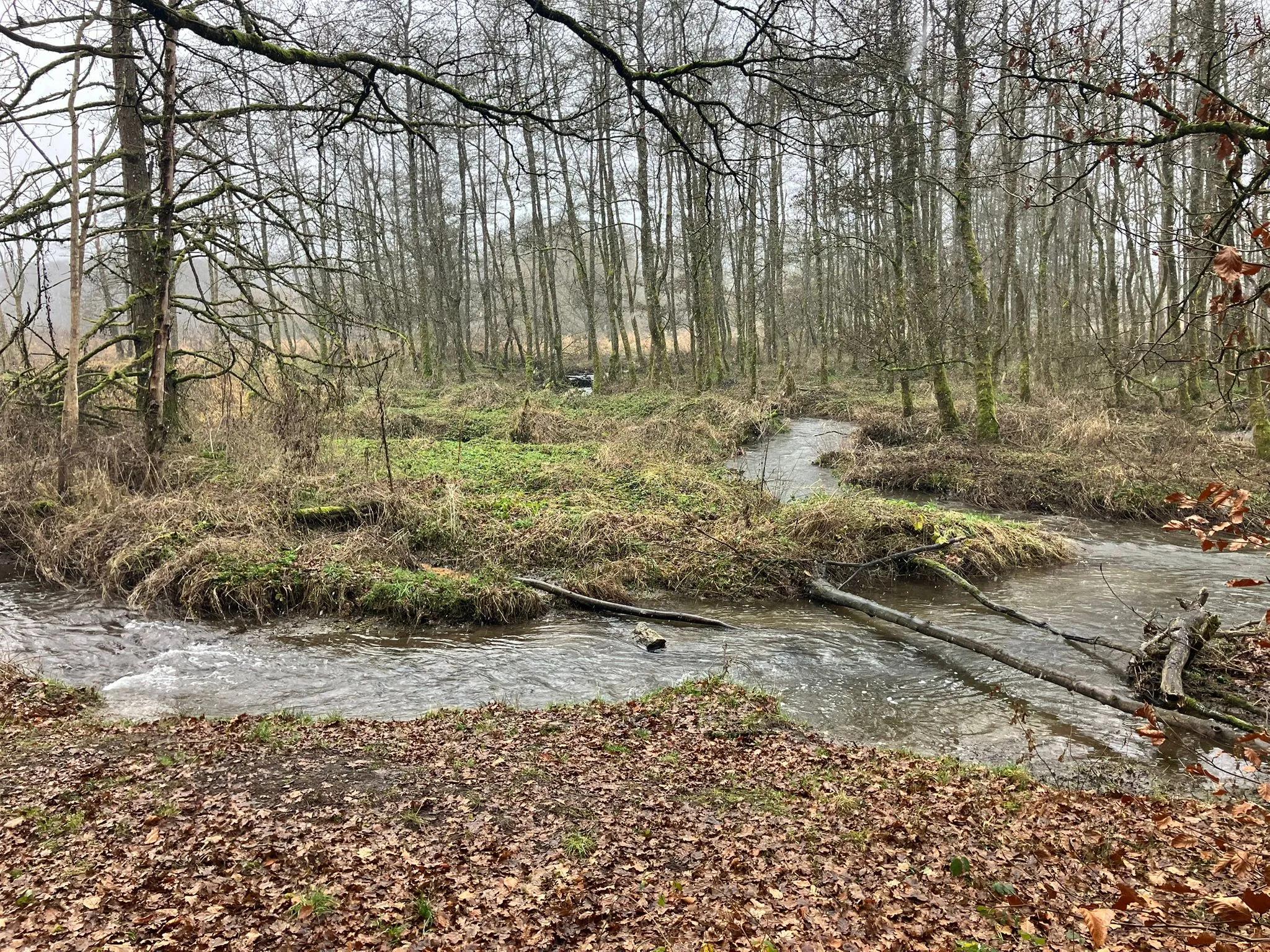 Wandeling afbeelding