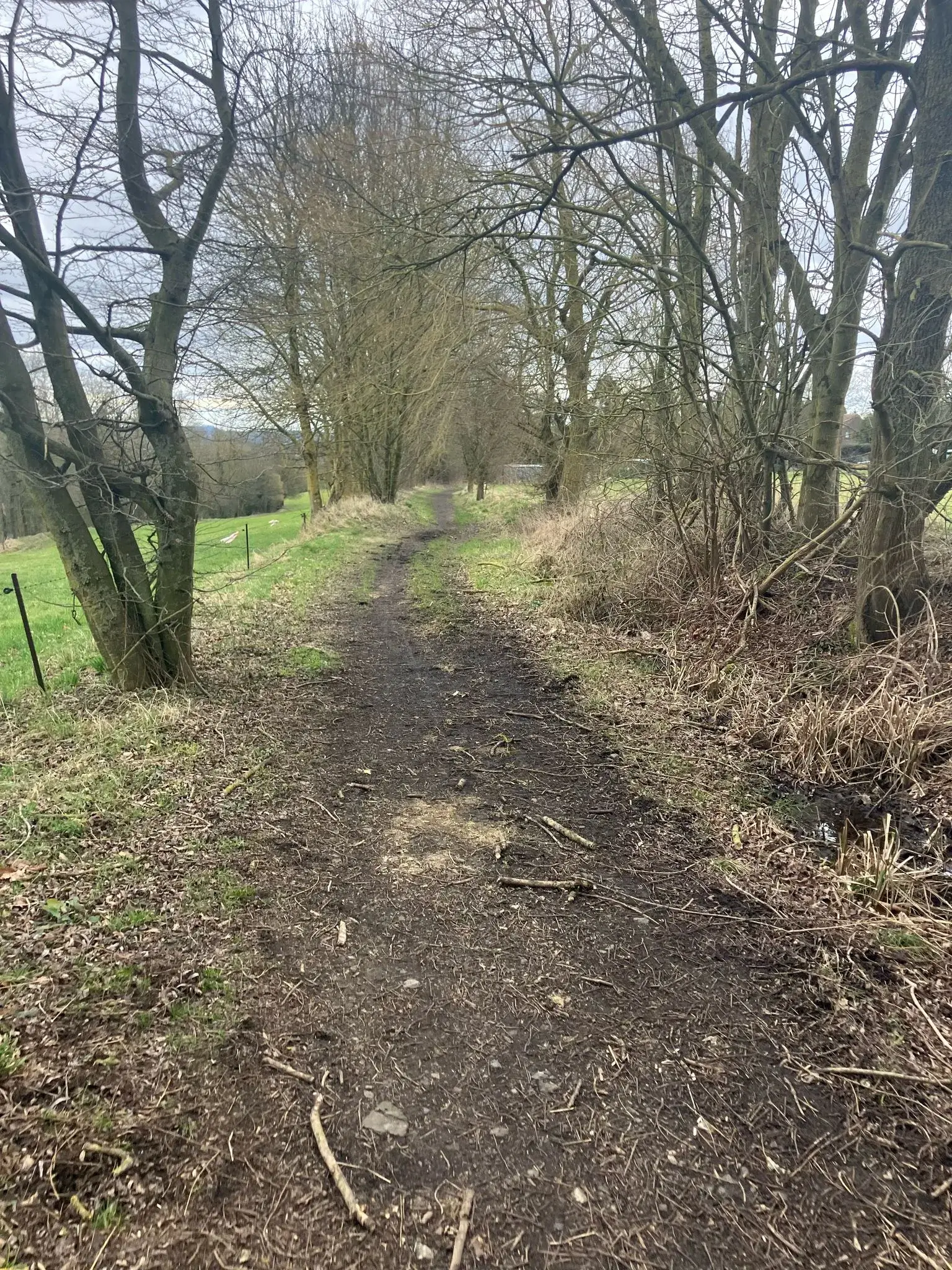 Wandeling afbeelding