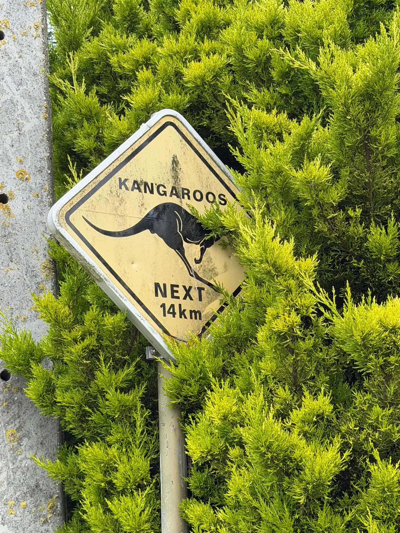 Wandeling afbeelding
