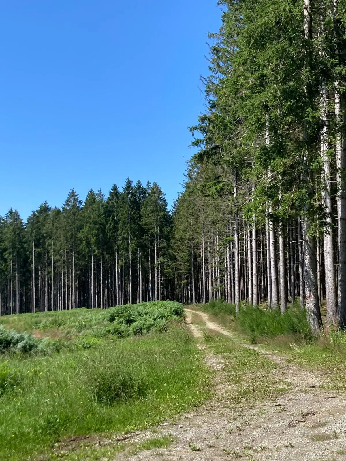 Wandeling afbeelding