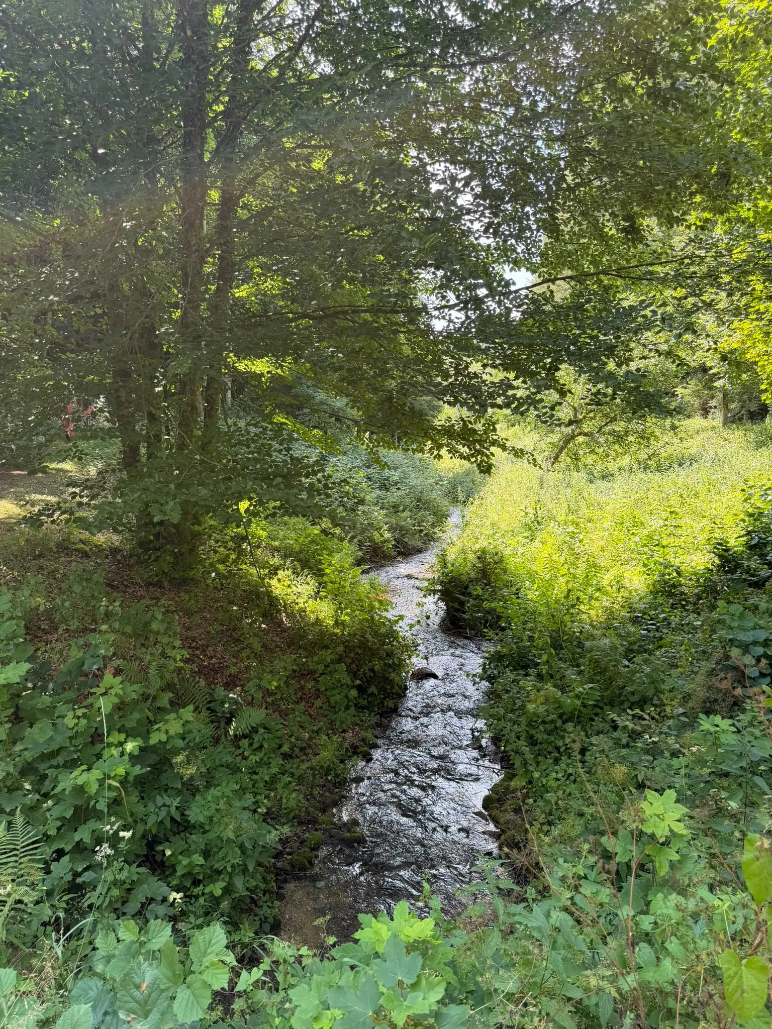 Wandeling afbeelding