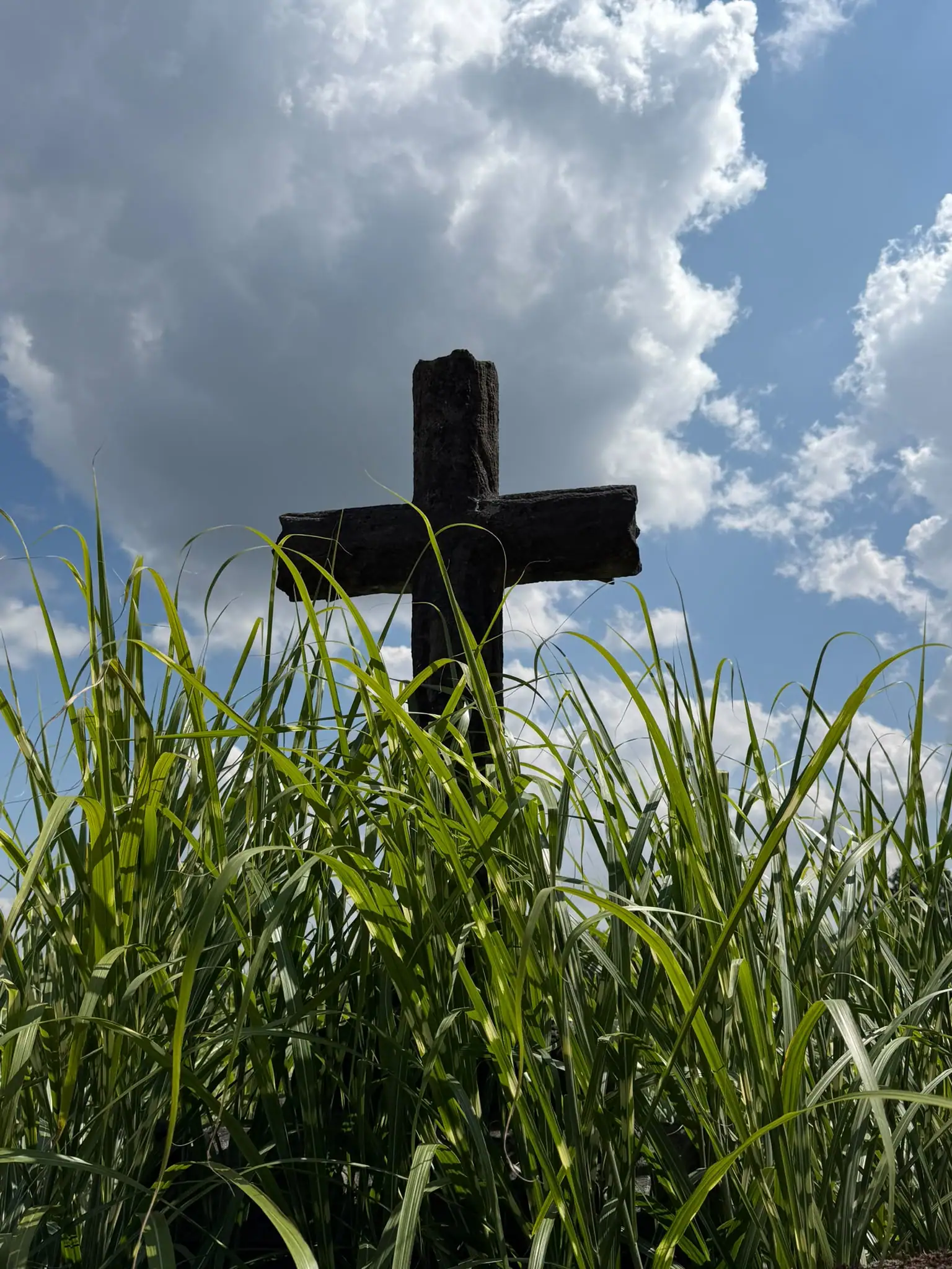Wandeling afbeelding