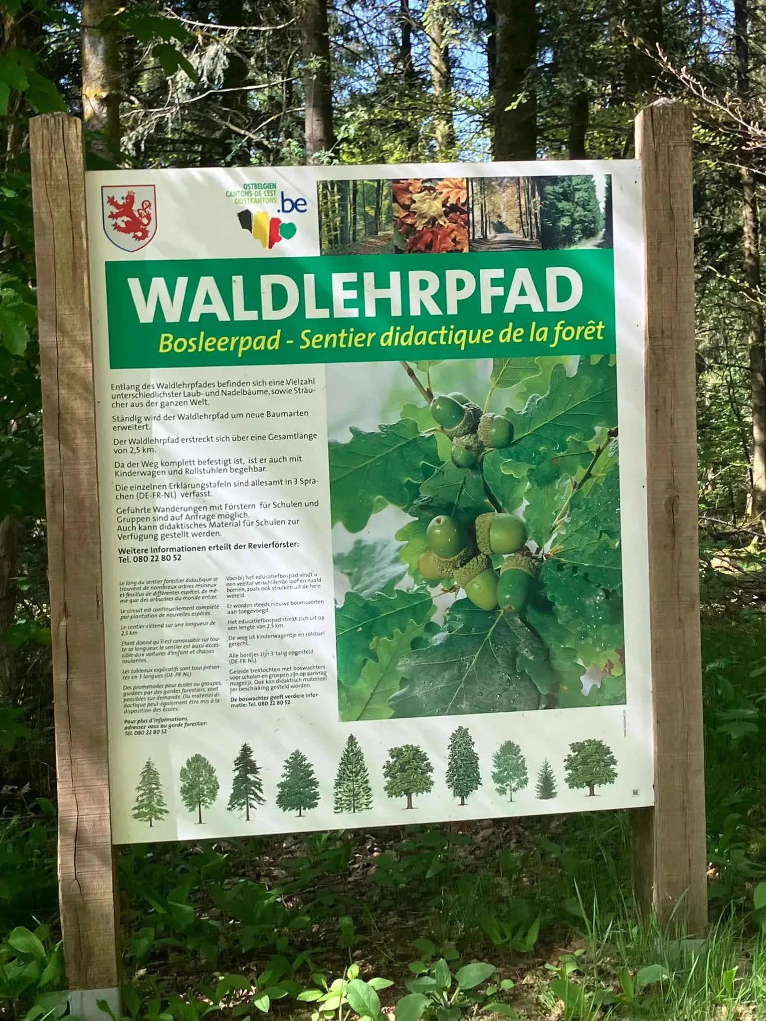Wandeling afbeelding
