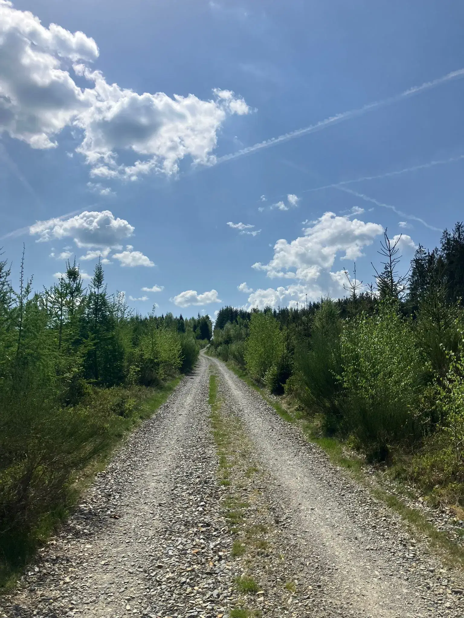 Wandeling afbeelding