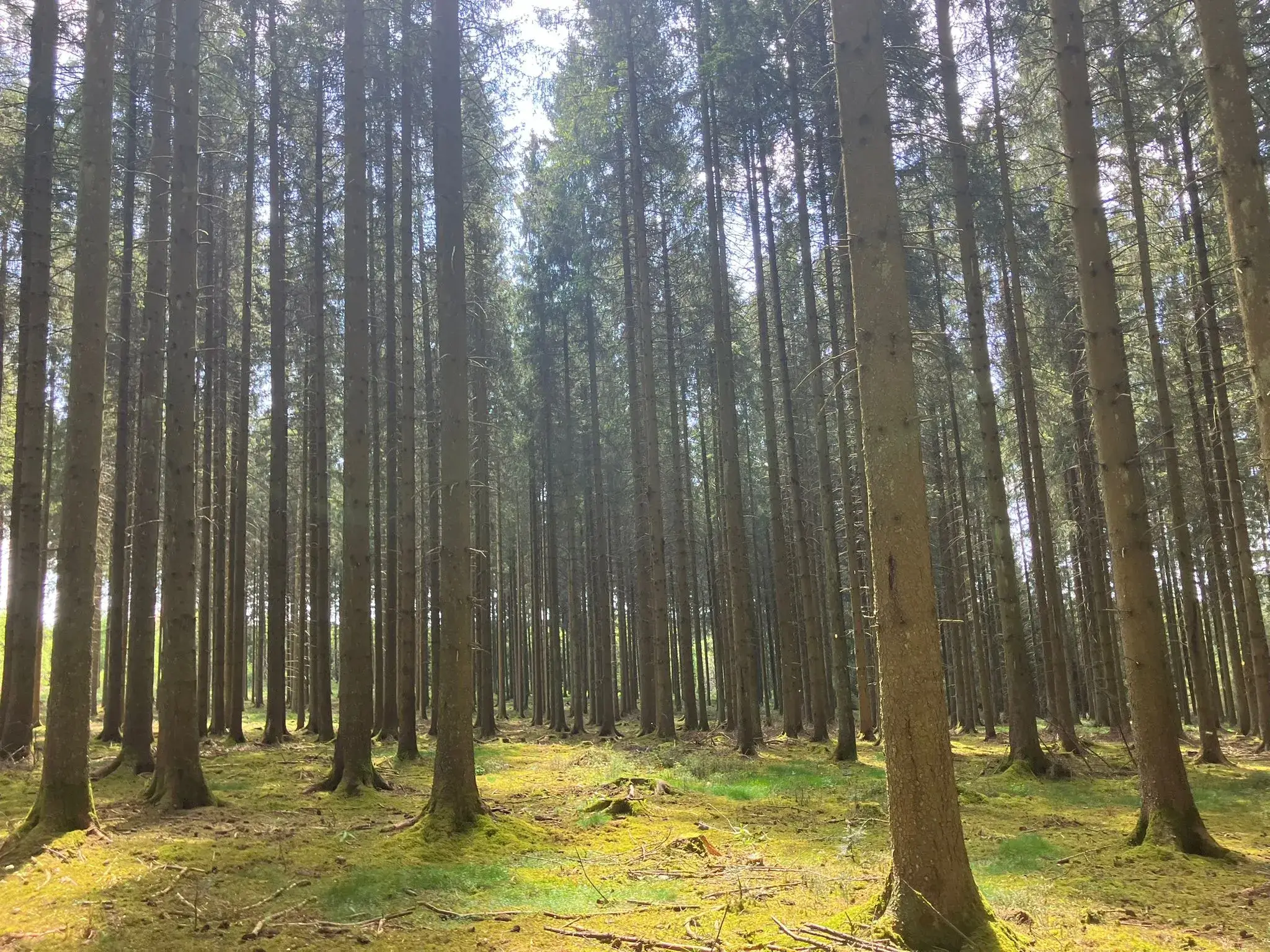 Wandeling afbeelding