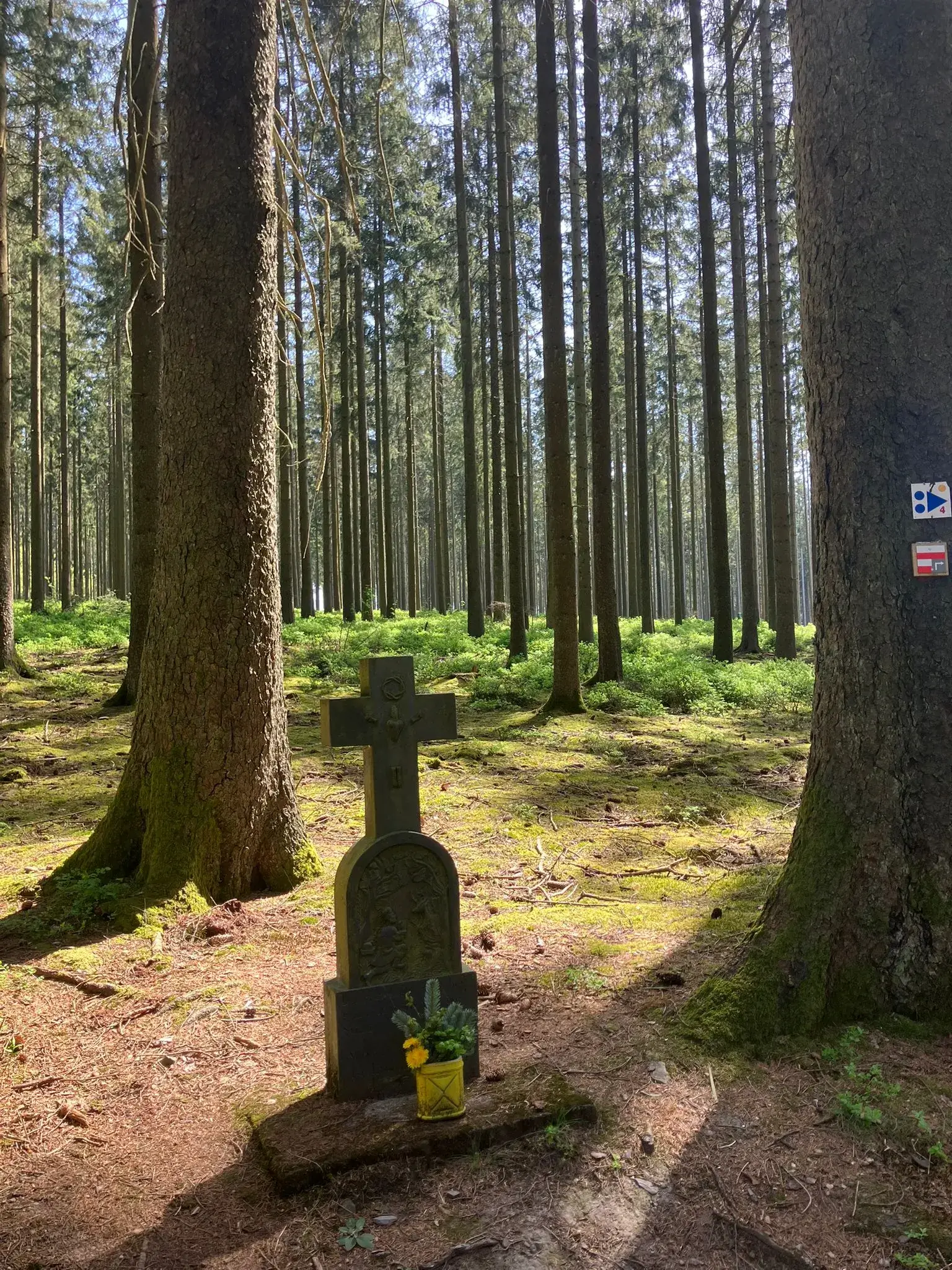 Wandeling afbeelding