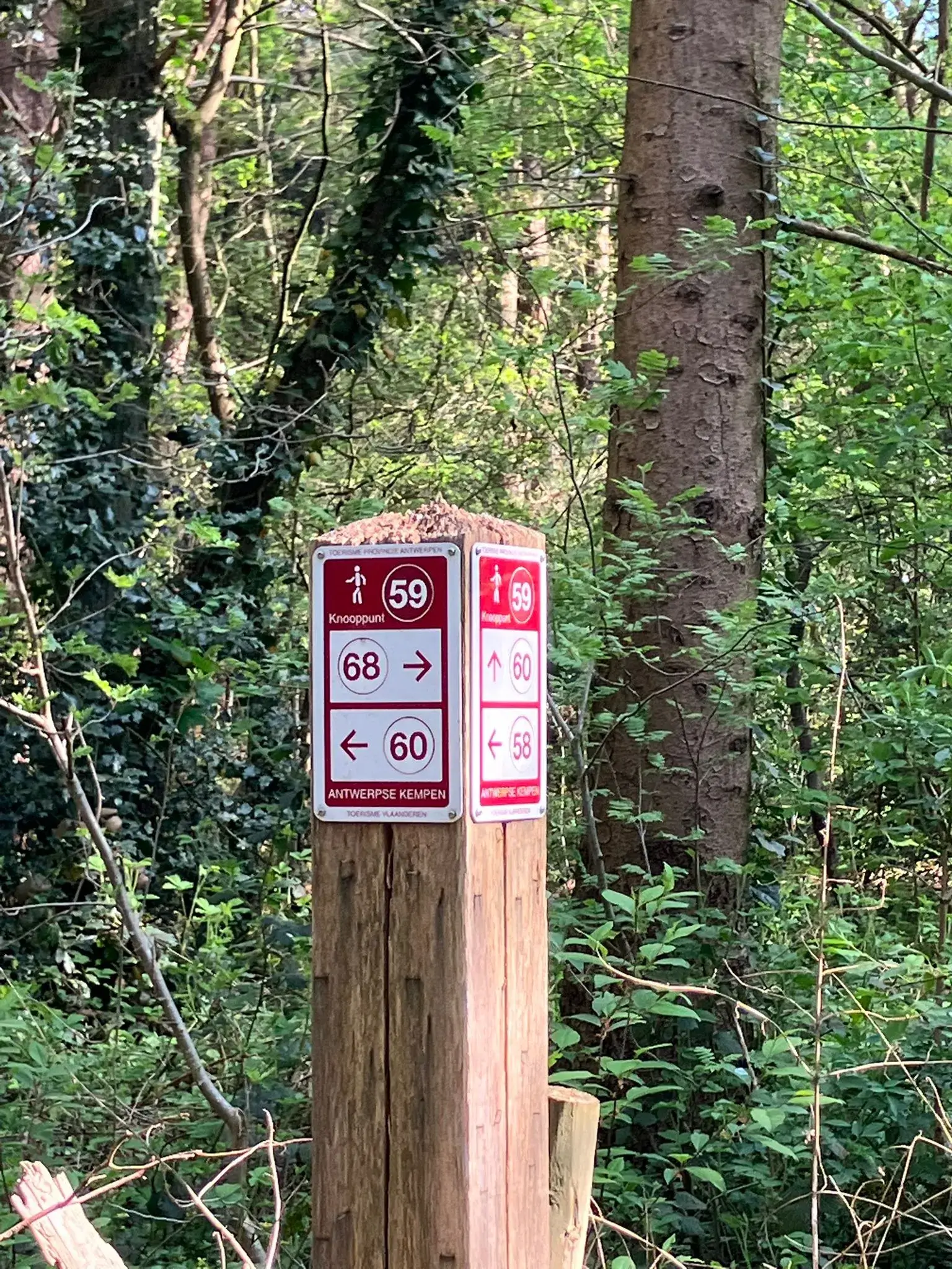 Wandeling afbeelding