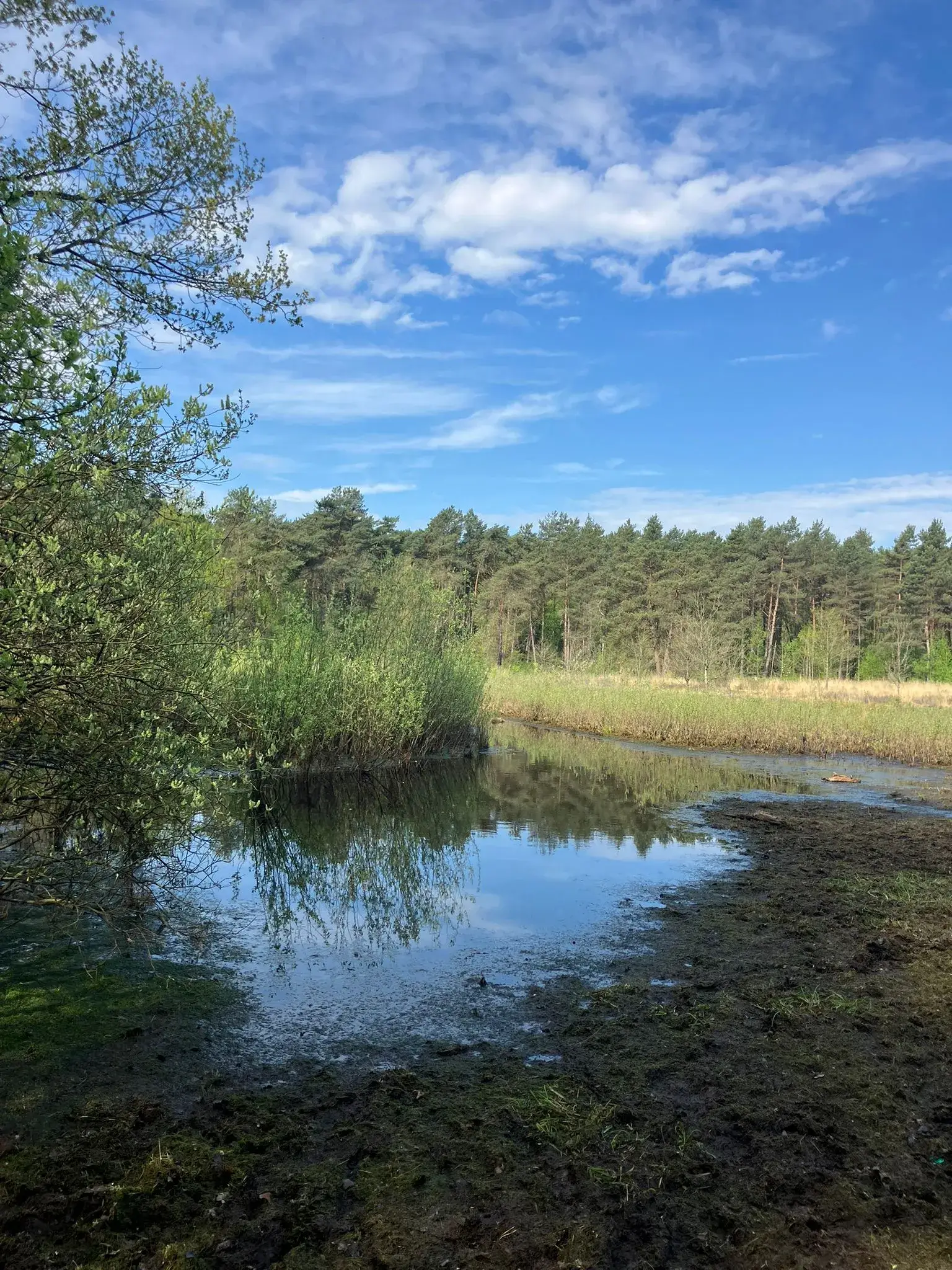 Wandeling afbeelding
