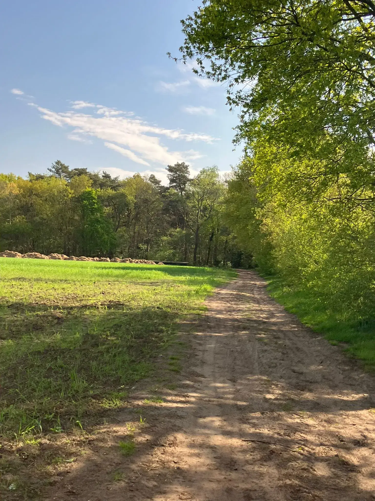 Wandeling afbeelding