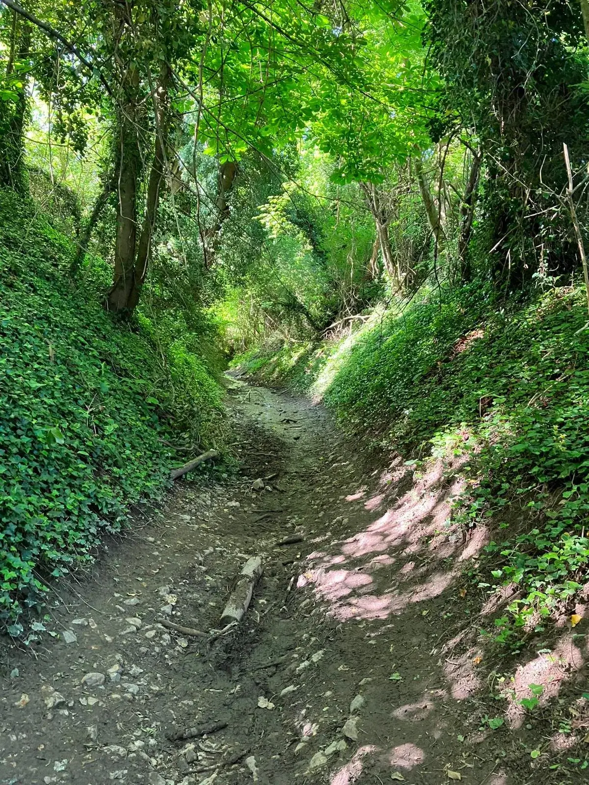 Wandeling afbeelding