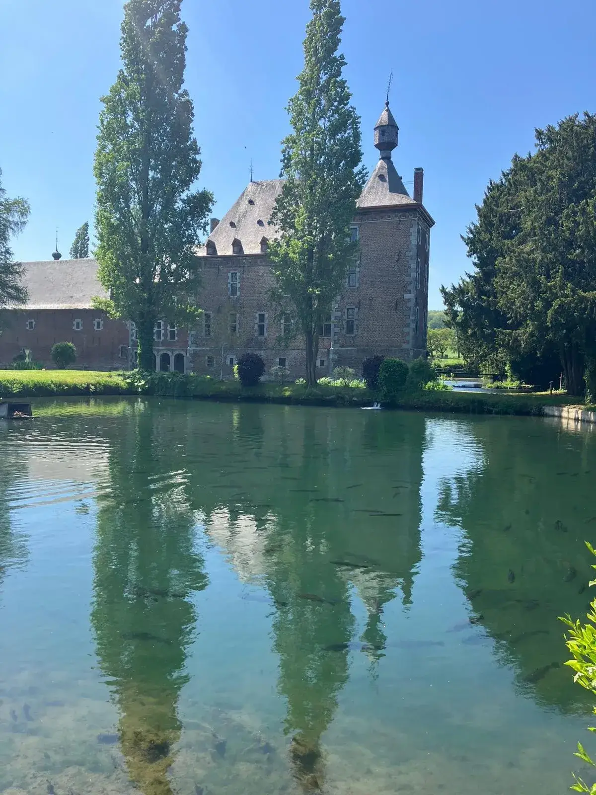 Wandeling afbeelding