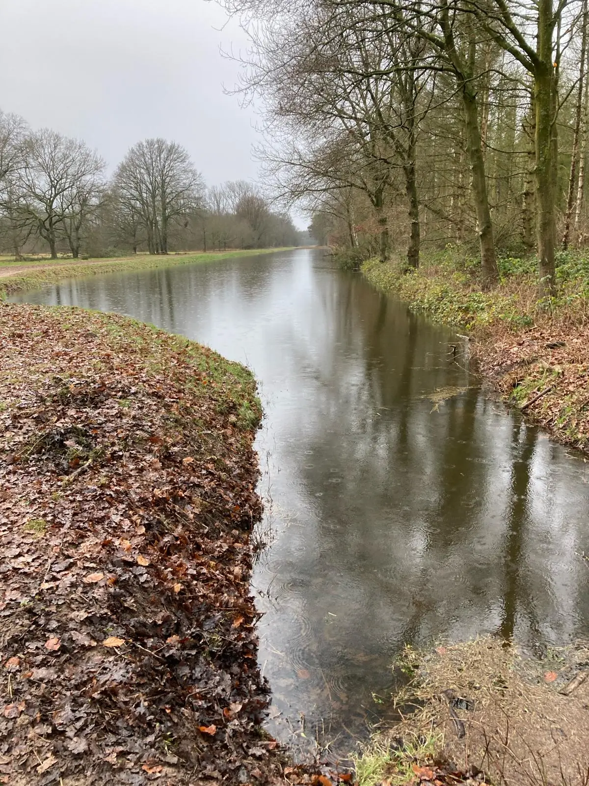 Wandeling afbeelding