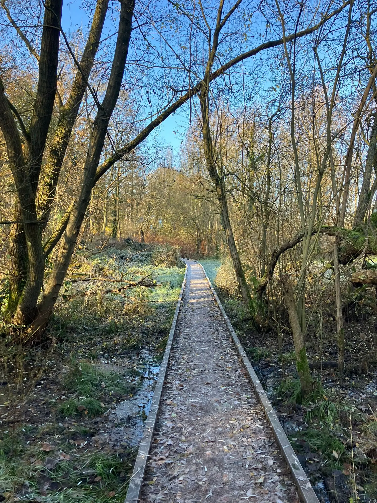 Wandeling afbeelding