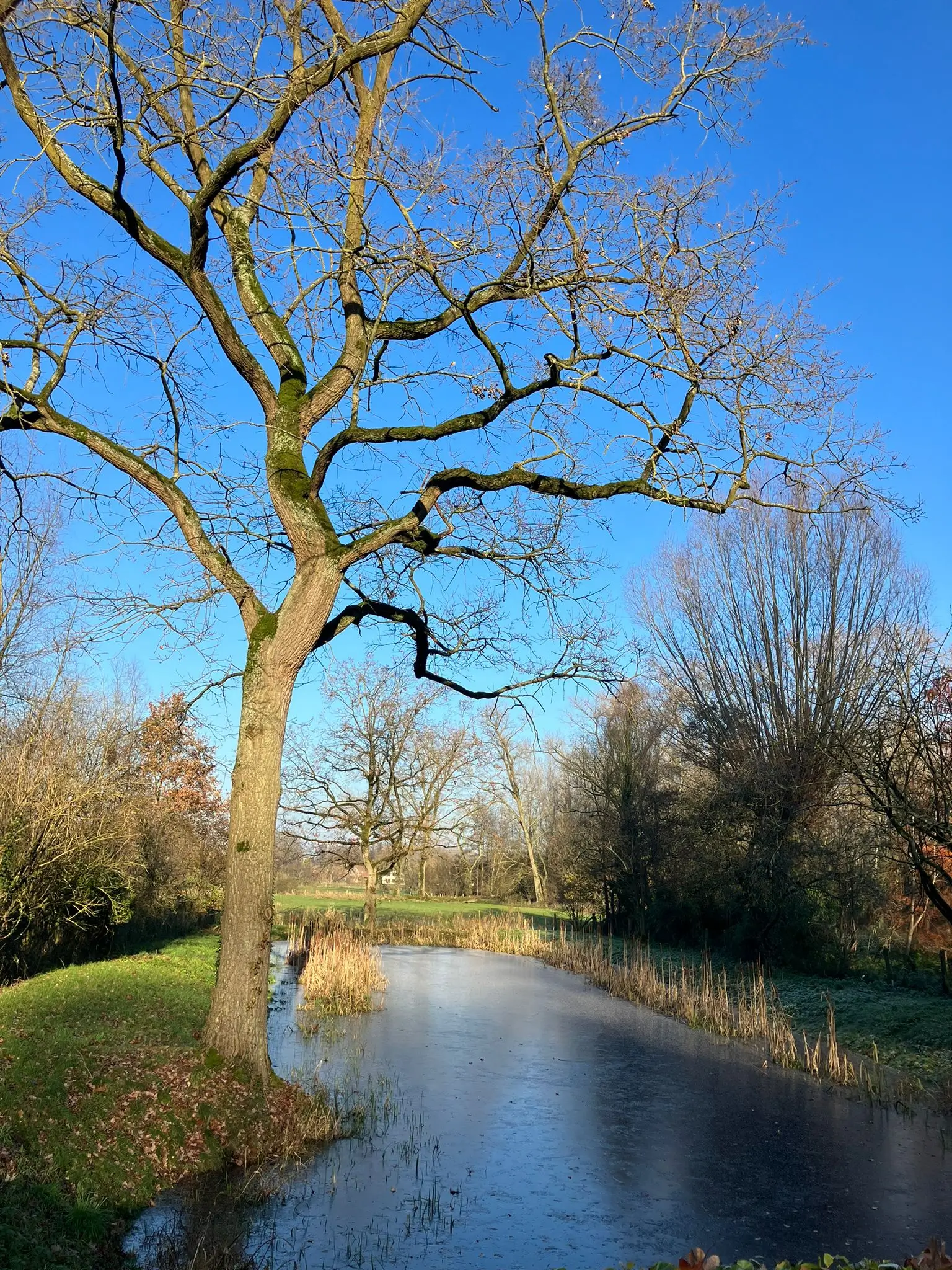 Wandeling afbeelding