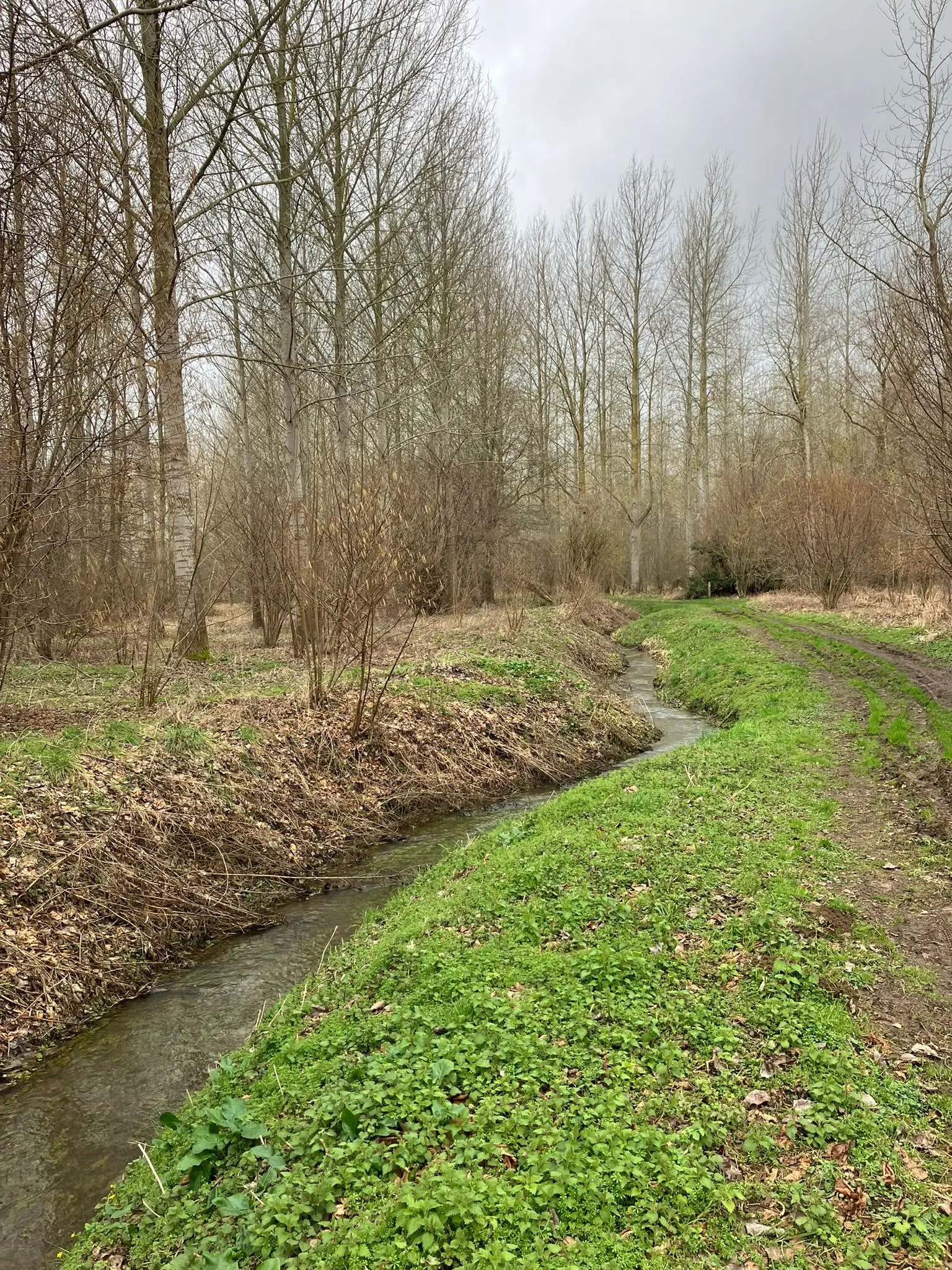 Wandeling afbeelding