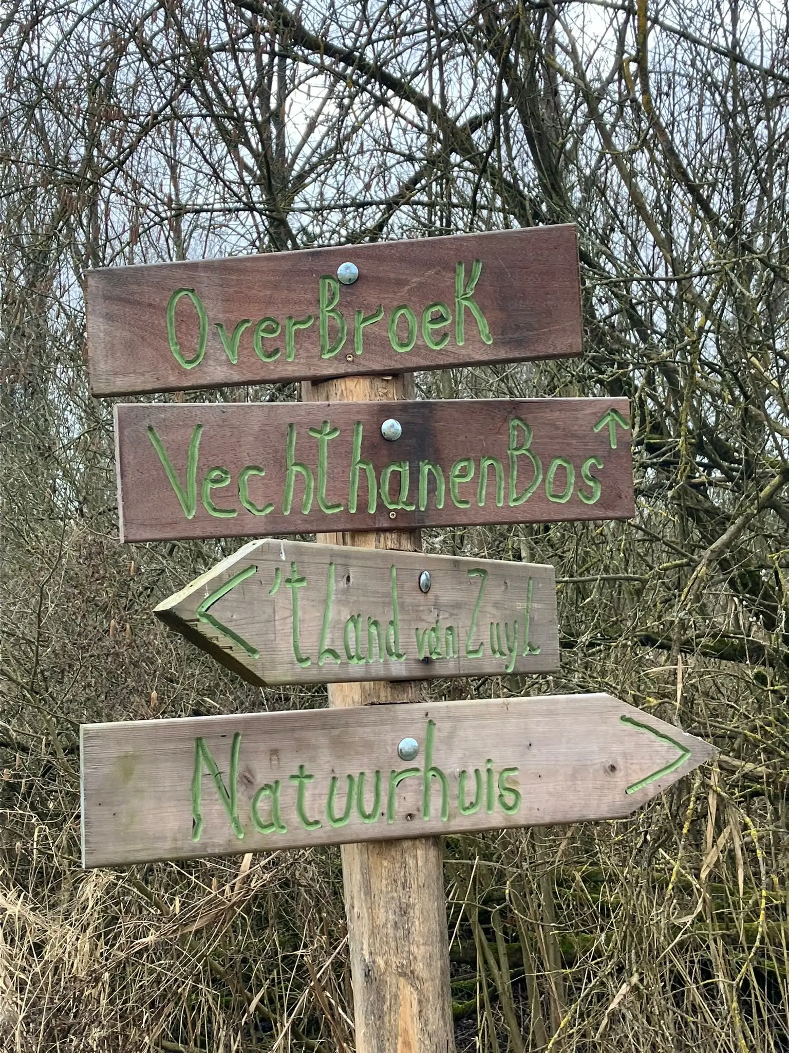 Wandeling afbeelding