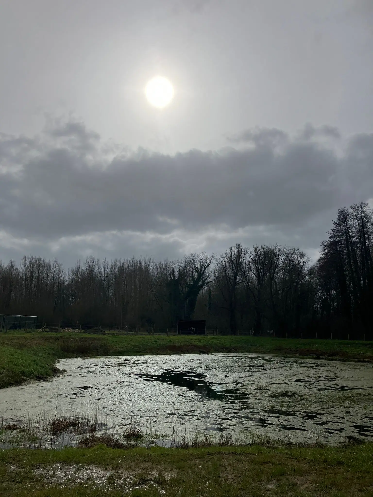Wandeling afbeelding