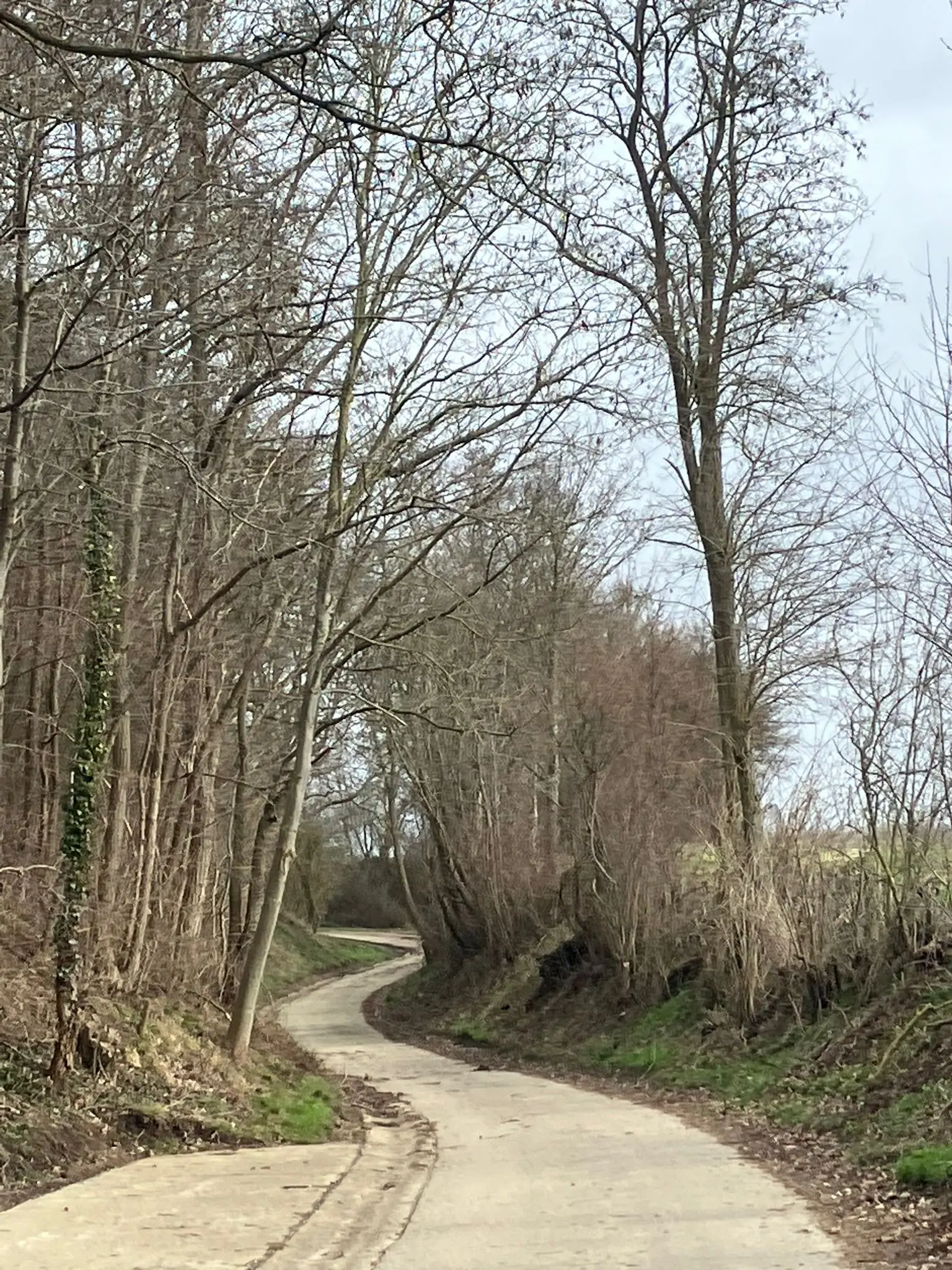 Wandeling afbeelding