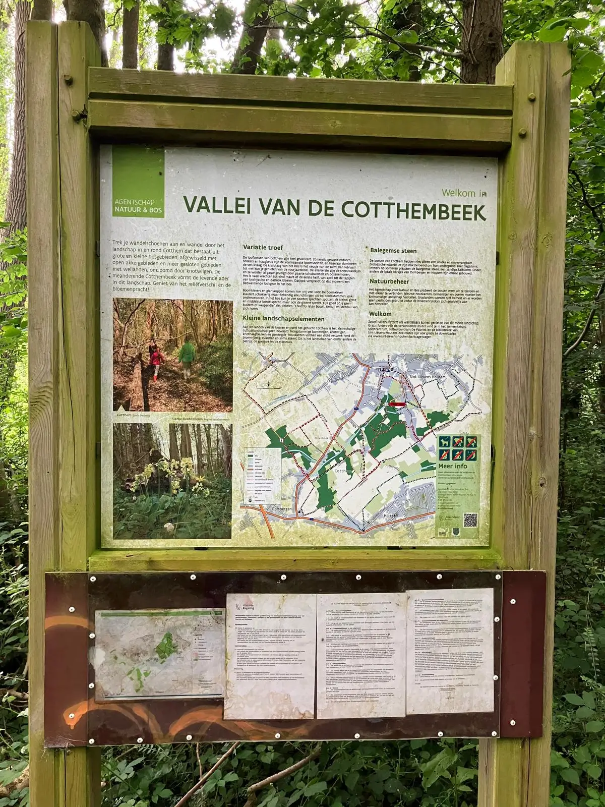 Wandeling afbeelding